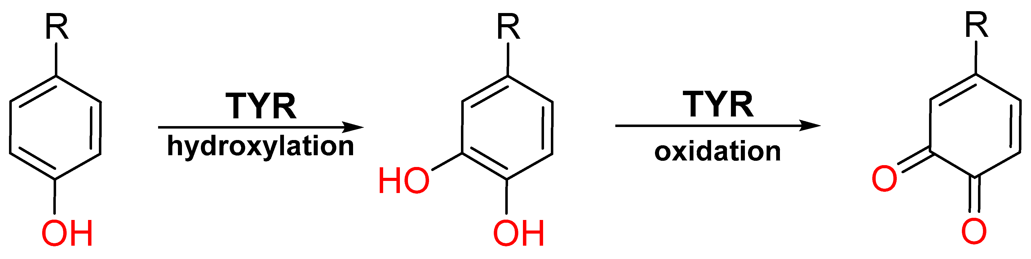 Preprints 83397 g001