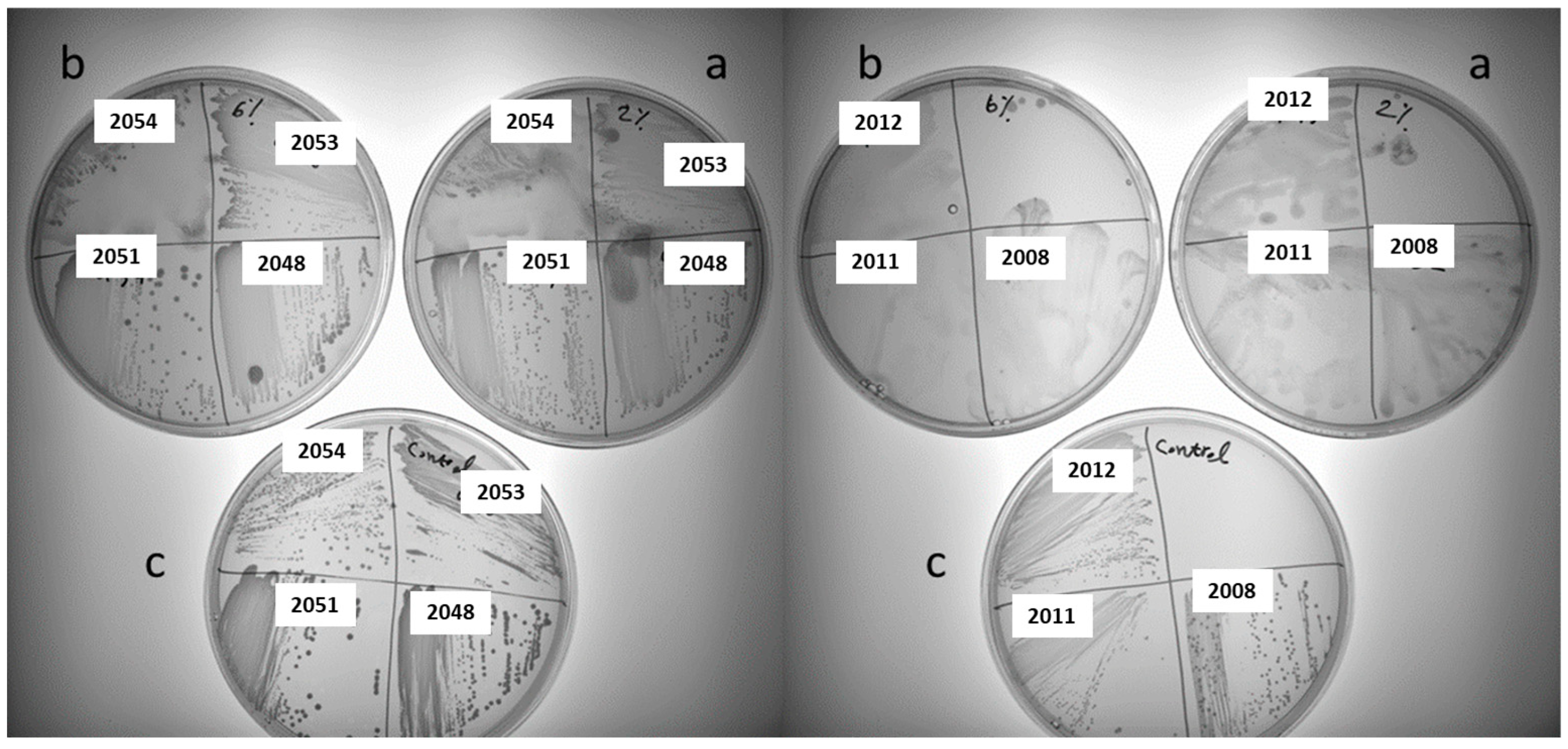 Preprints 114341 g002