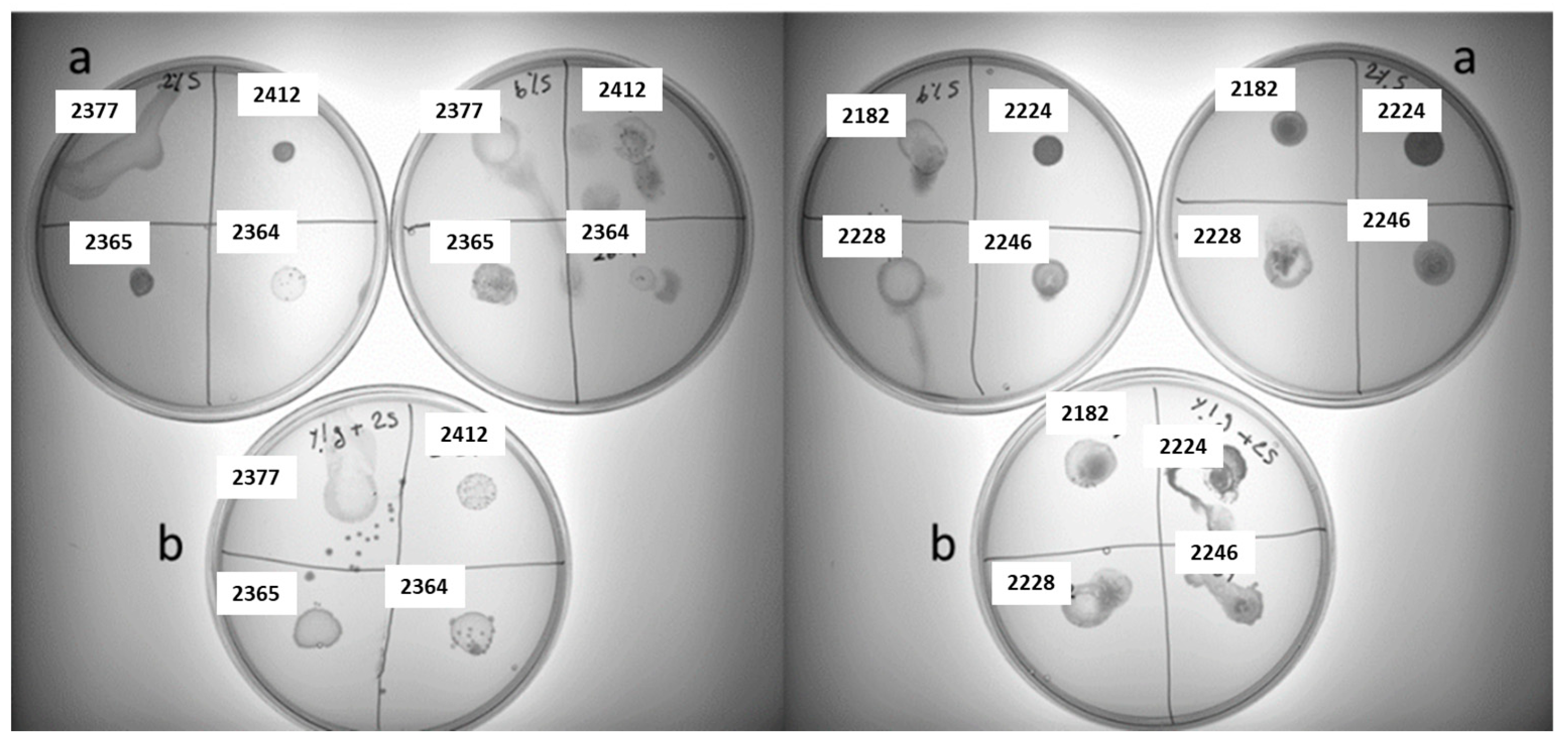 Preprints 114341 g003