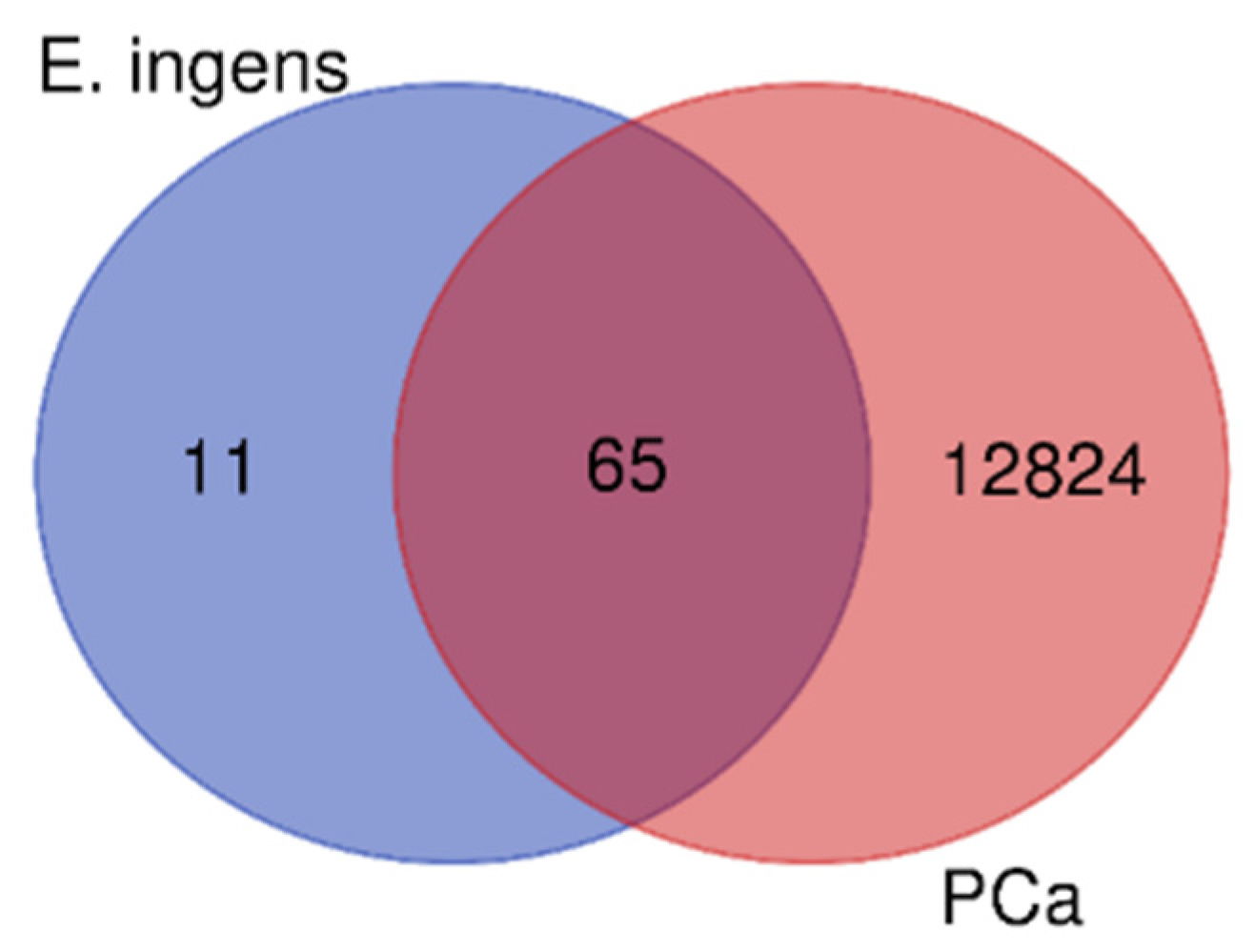 Preprints 74707 g005