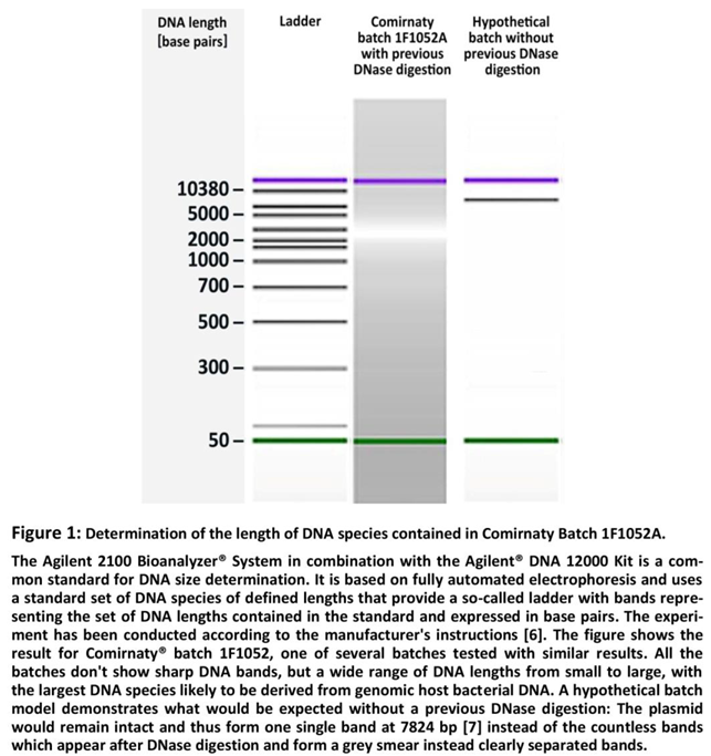 Preprints 140860 i001