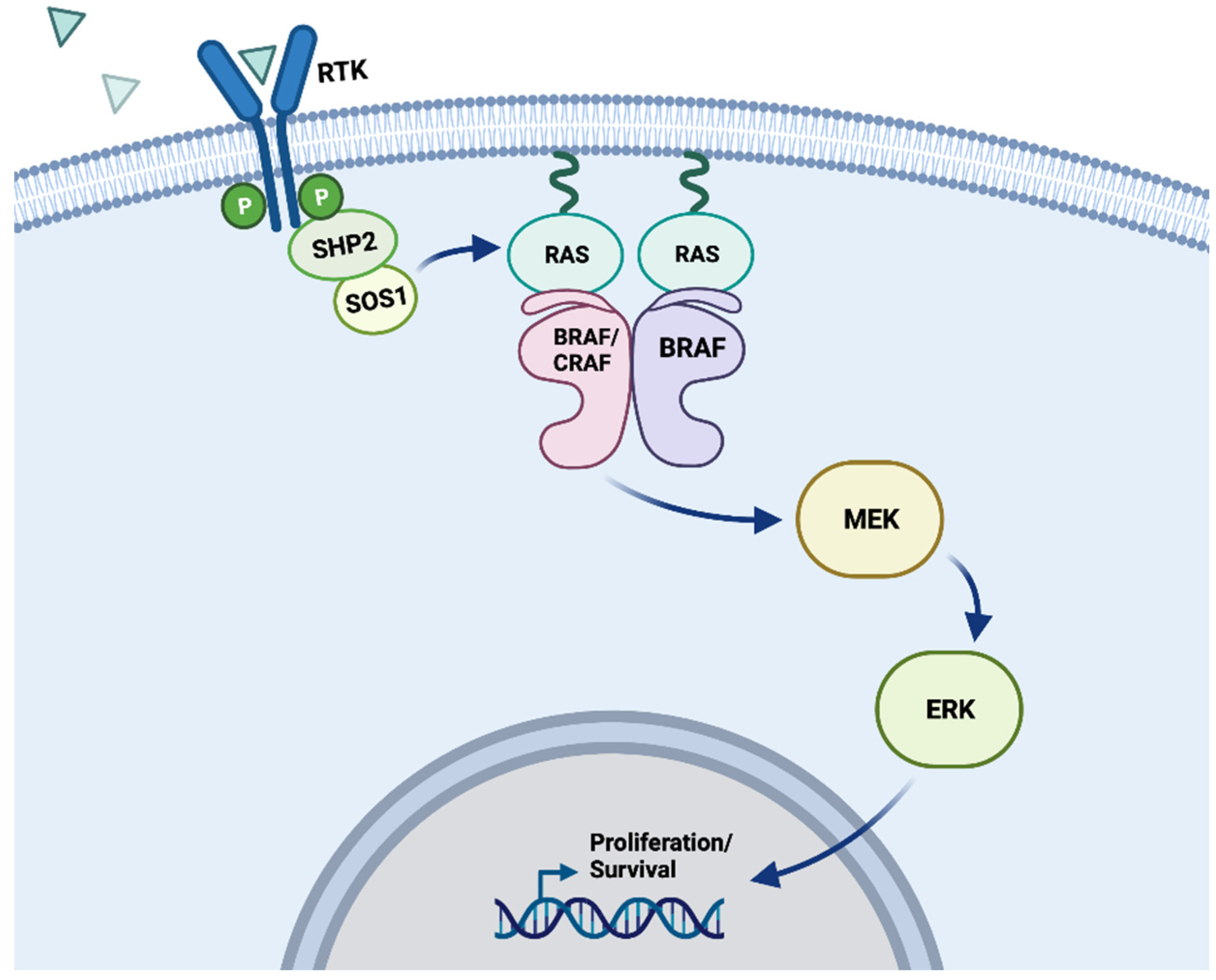 Preprints 97414 g001