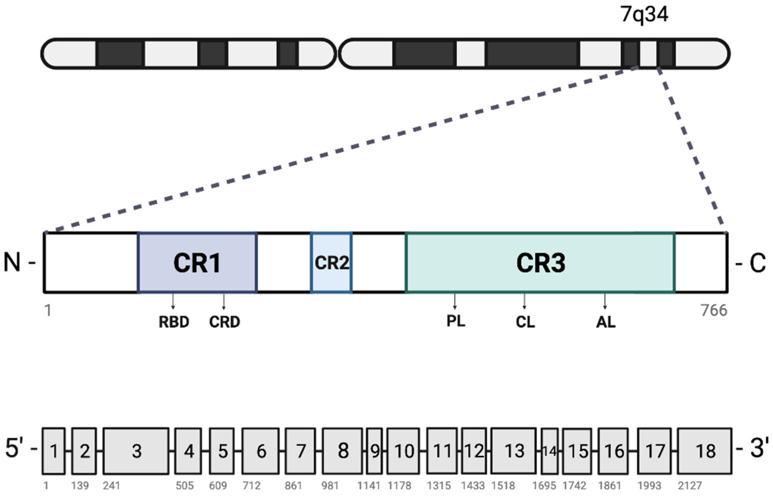 Preprints 97414 g002