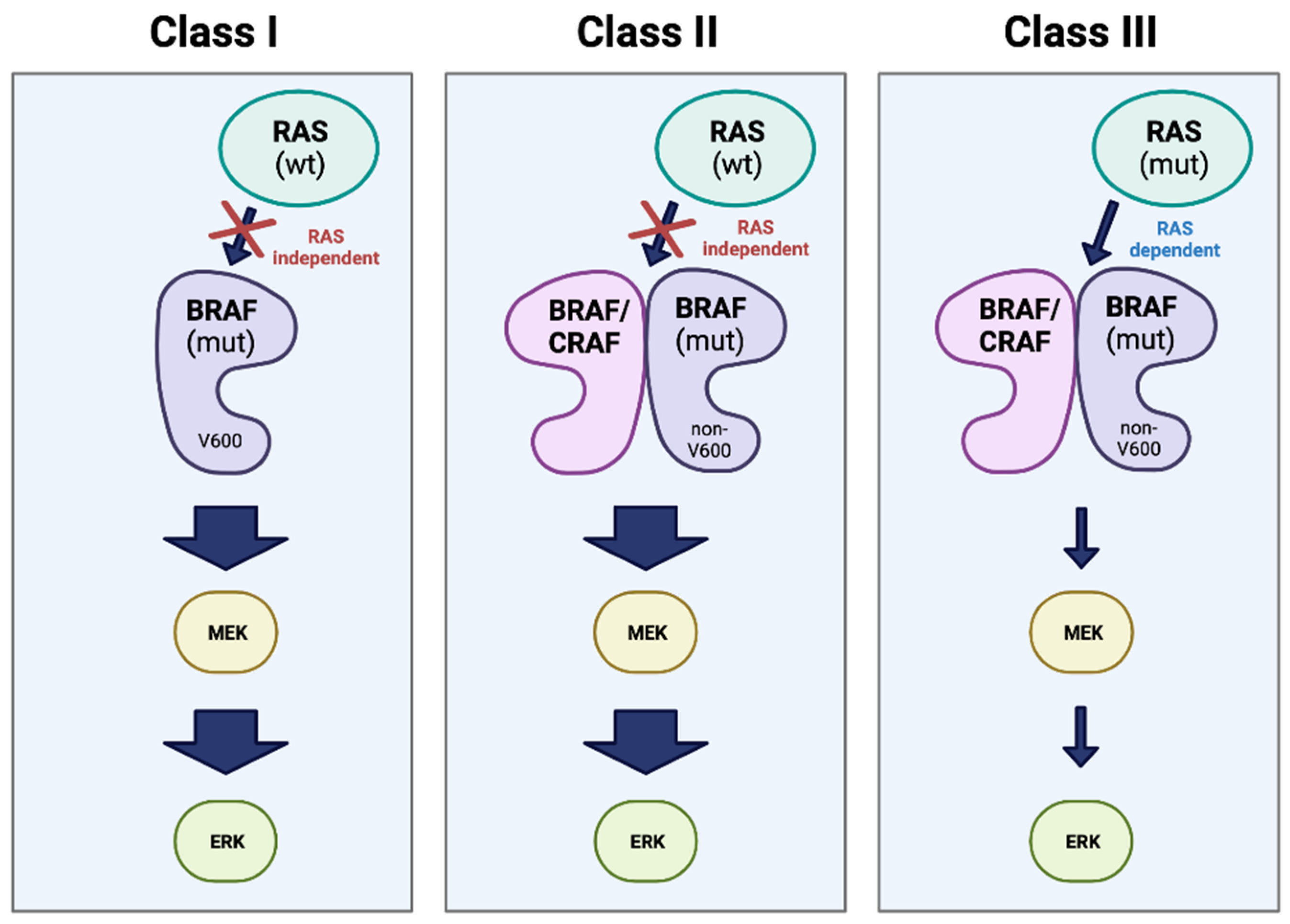 Preprints 97414 g005