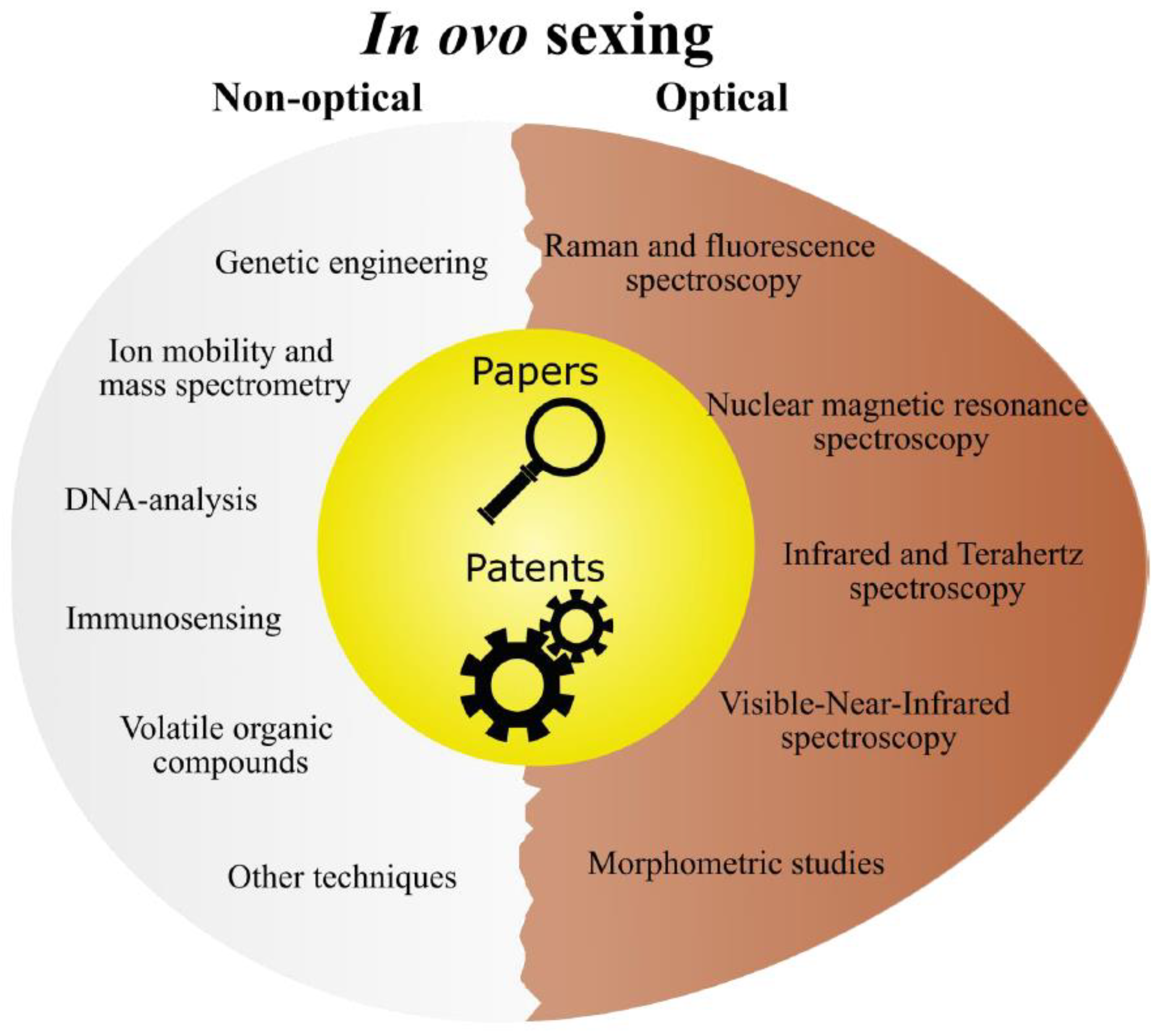 Preprints 69840 g001