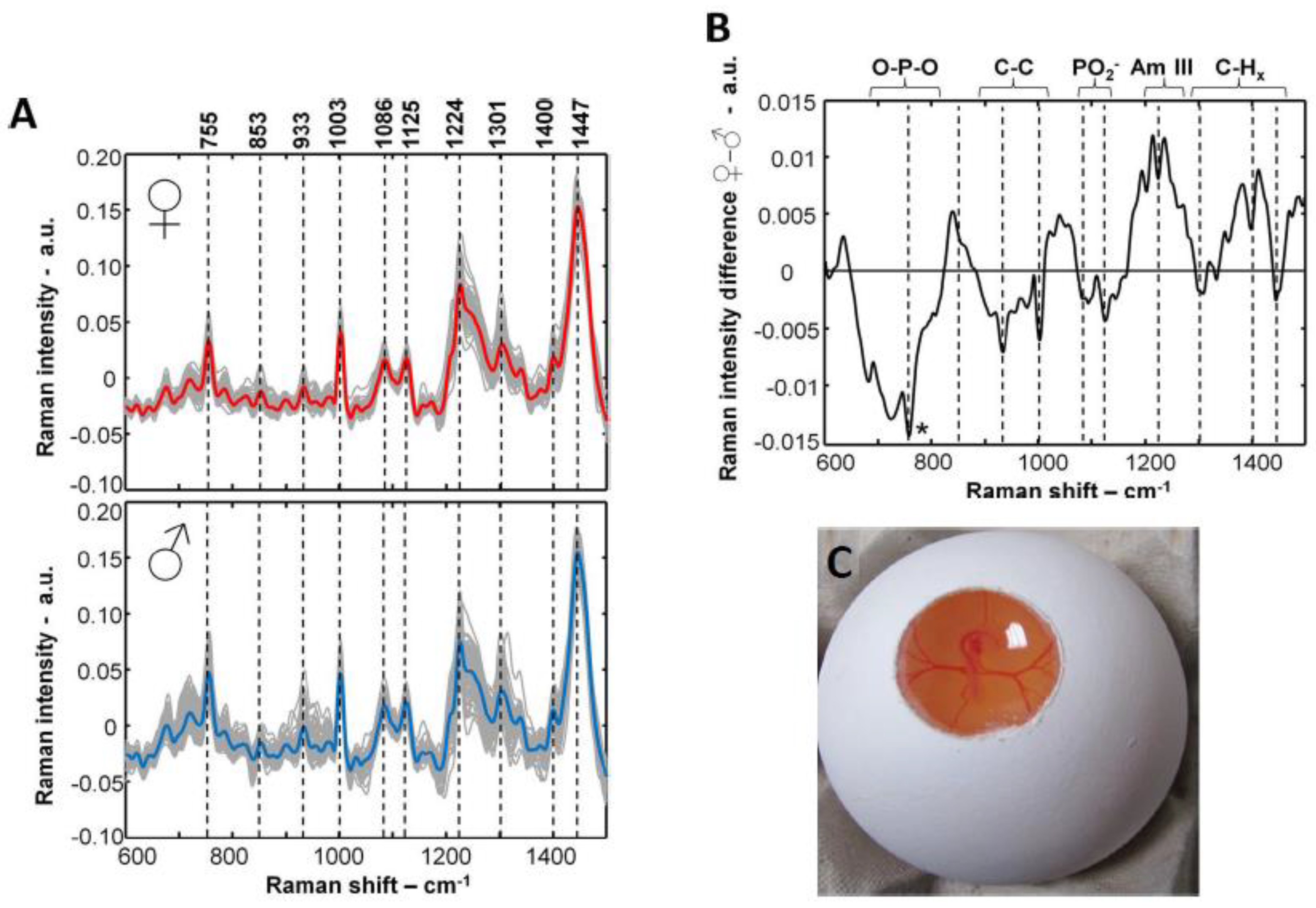 Preprints 69840 g005