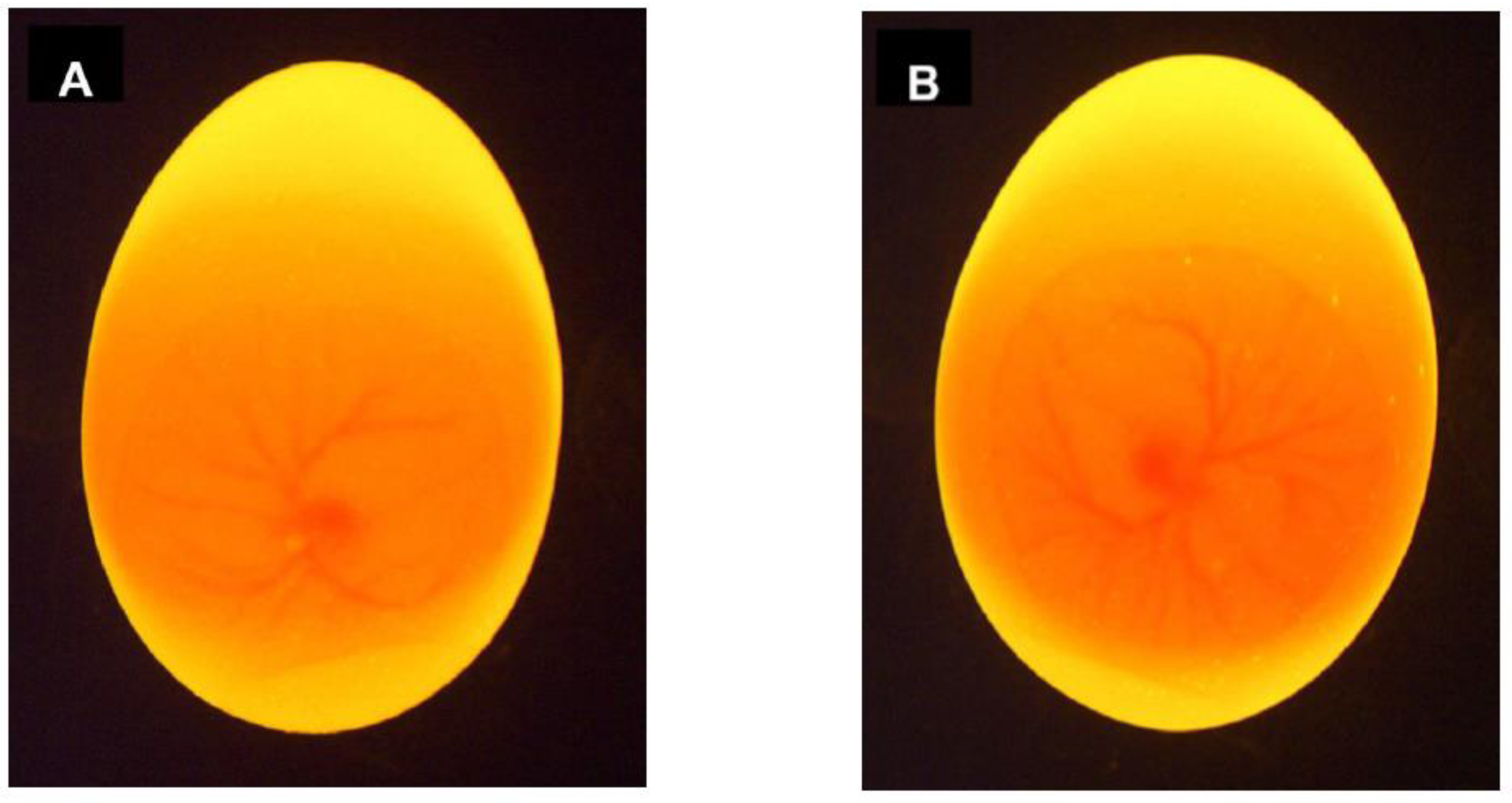 Preprints 69840 g007