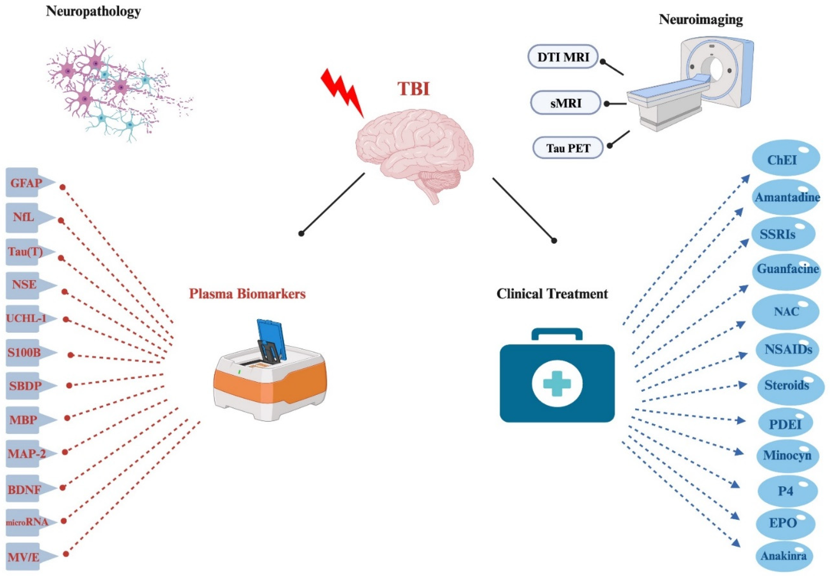 Preprints 88644 g001