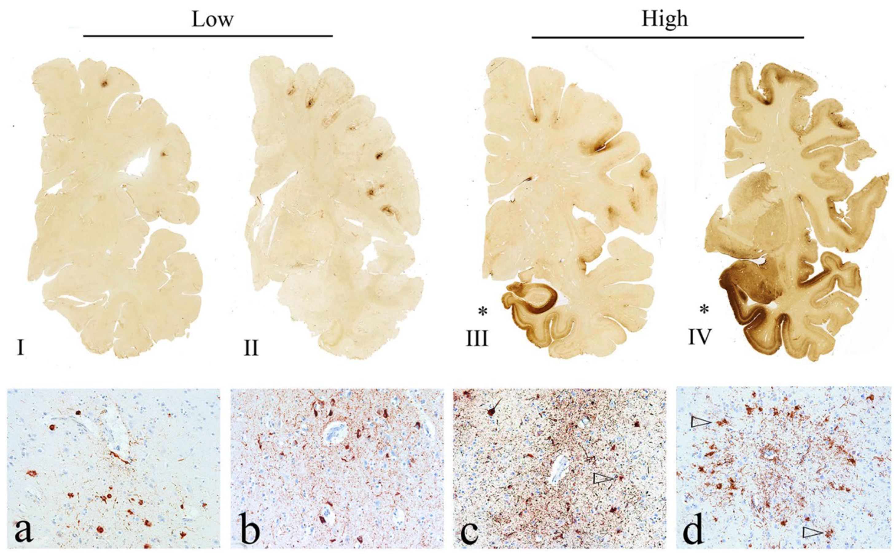 Preprints 88644 g002