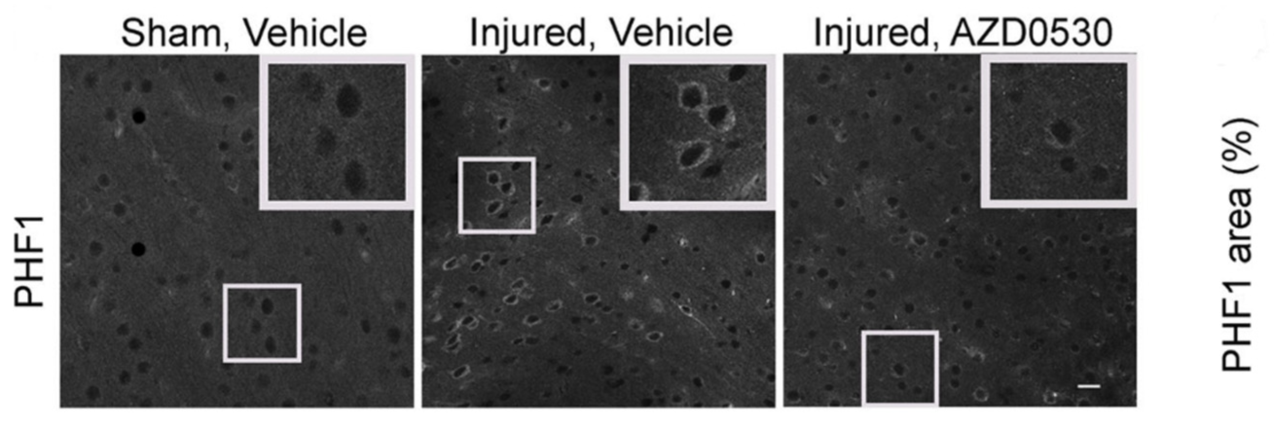 Preprints 88644 g003