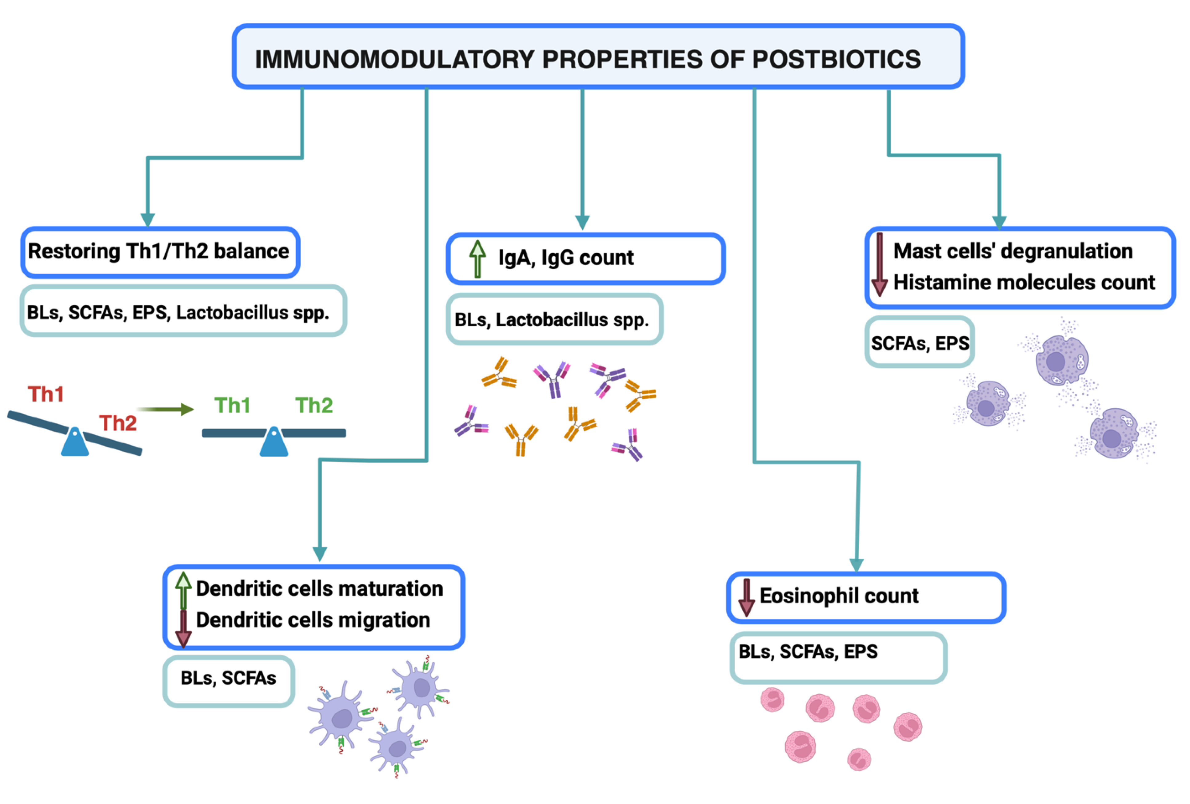 Preprints 110600 g001