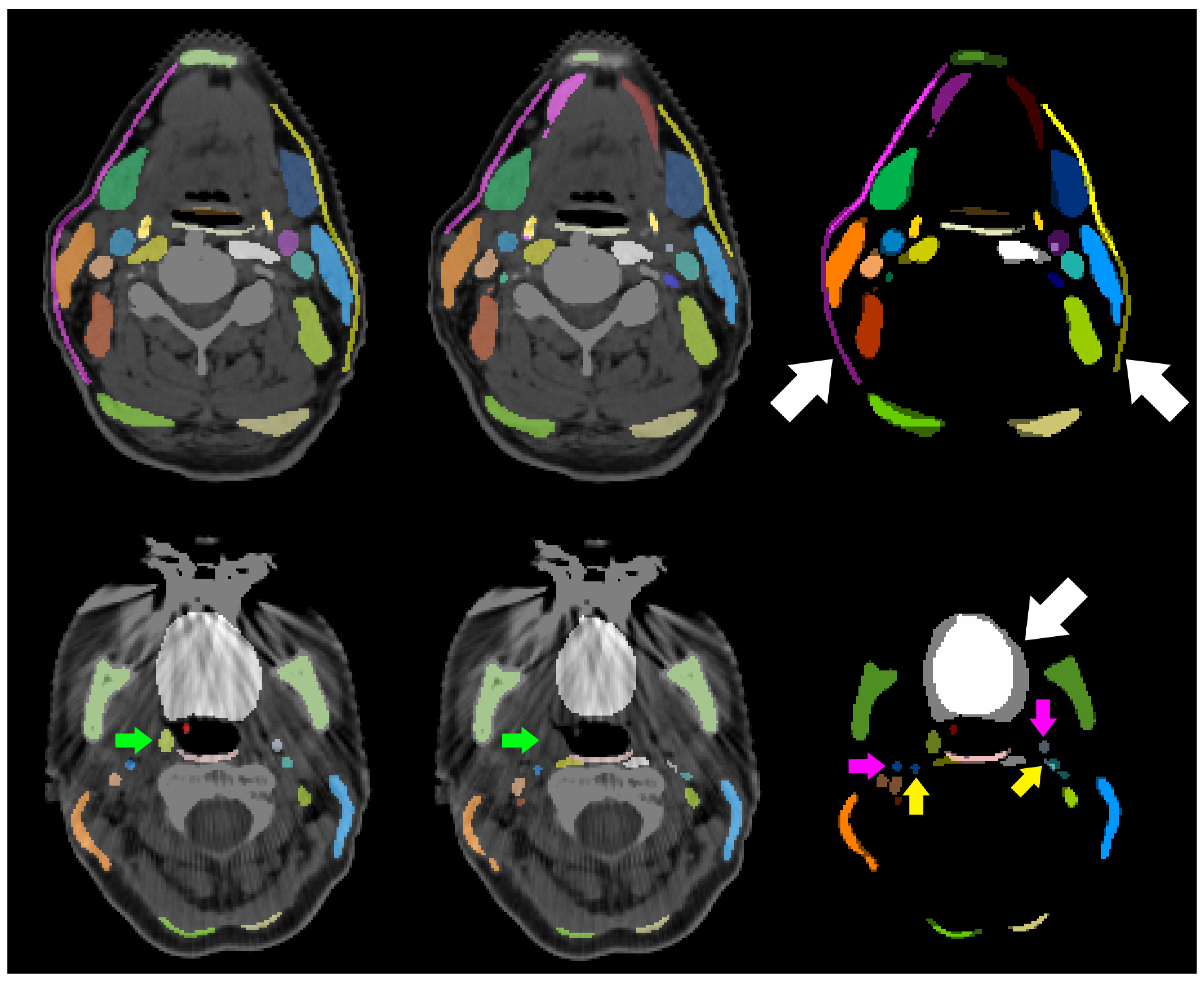 Preprints 93834 g006