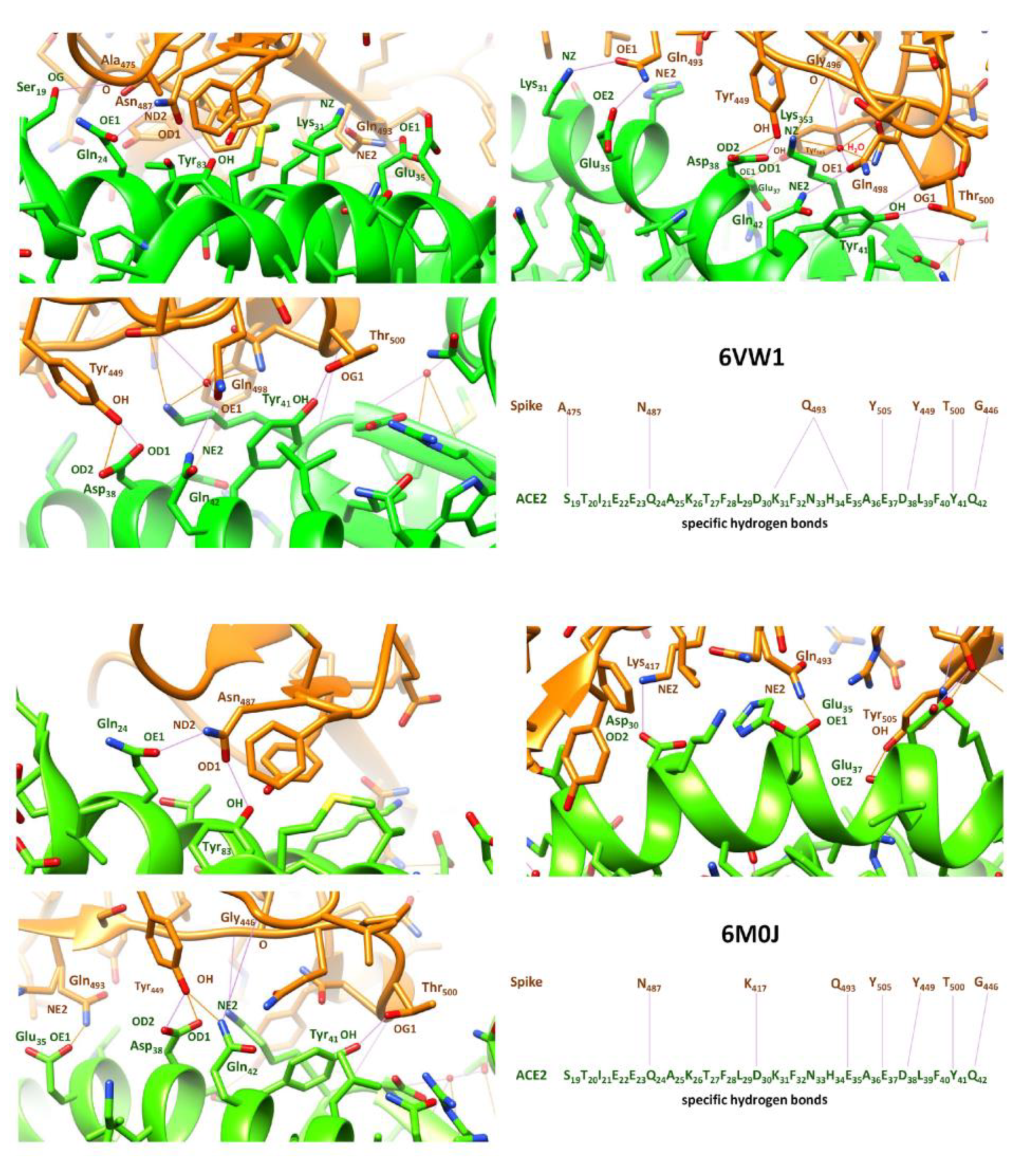 Preprints 72634 g001