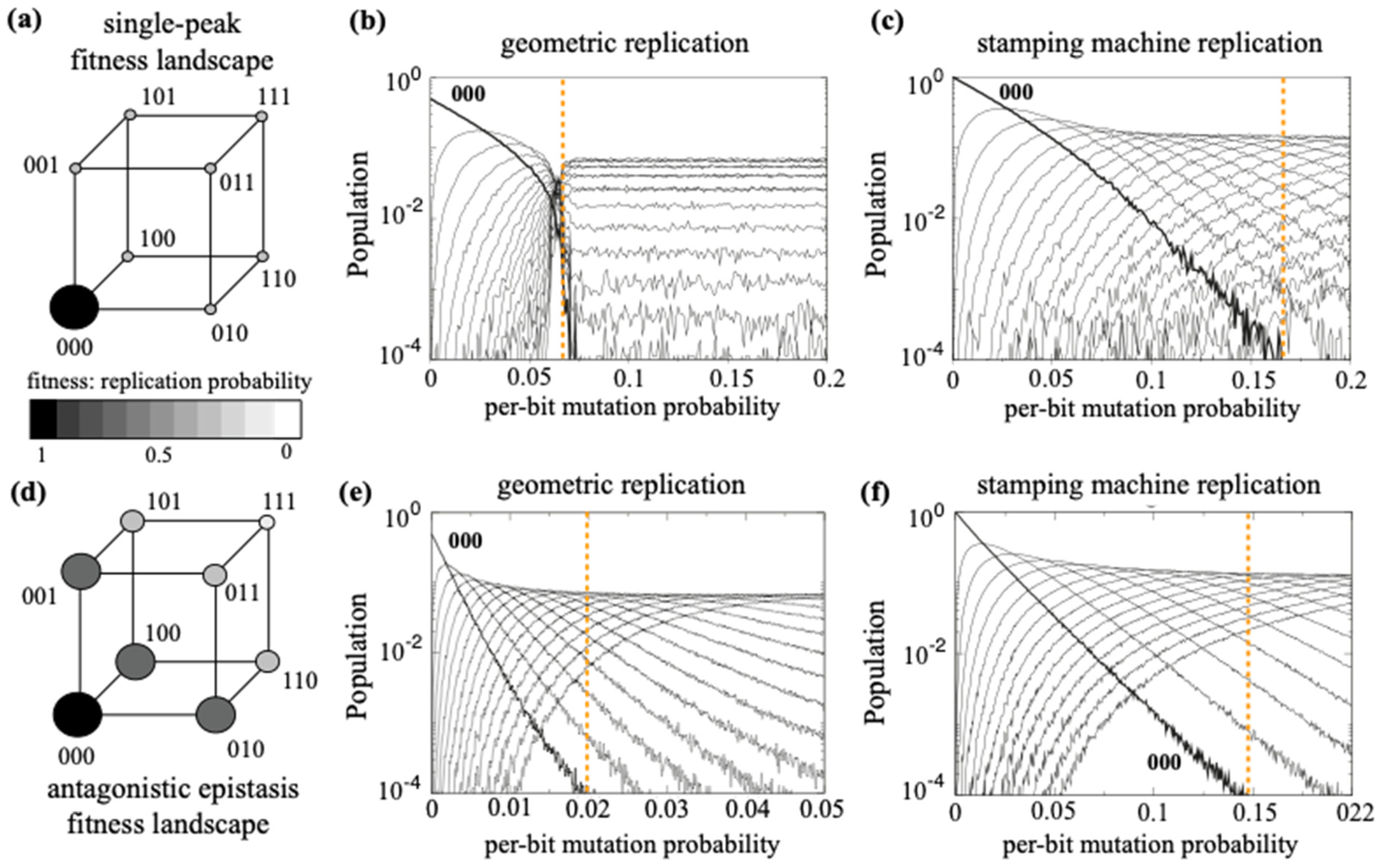 Preprints 118709 g002