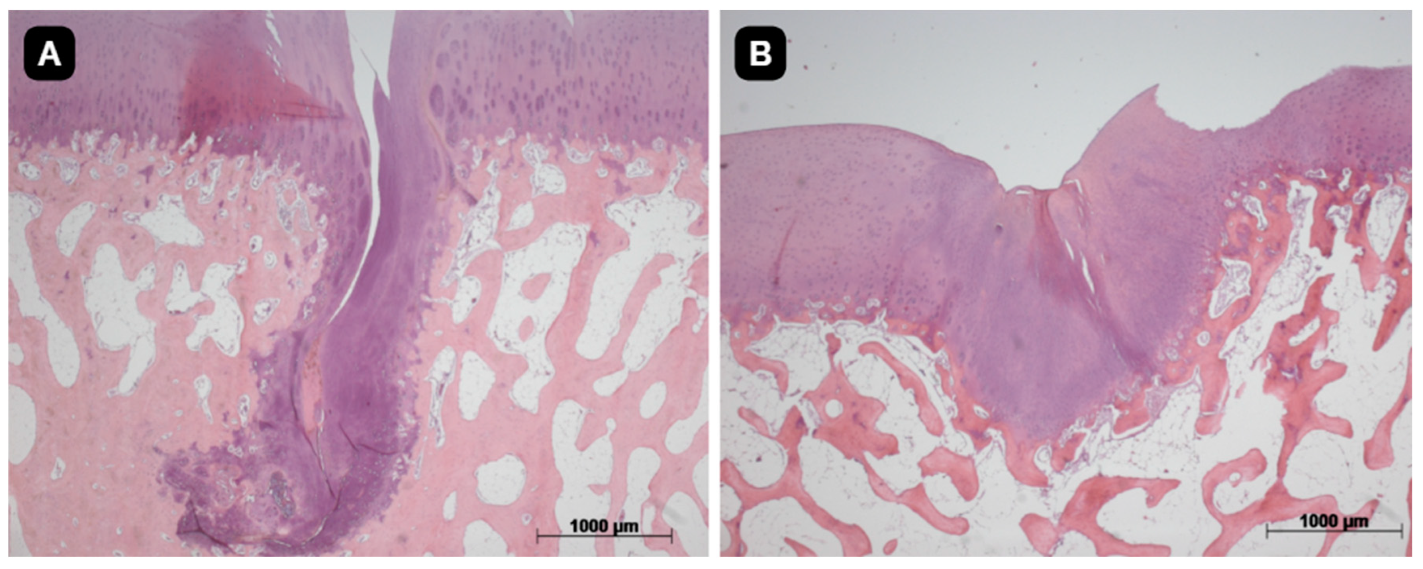 Preprints 119836 g006