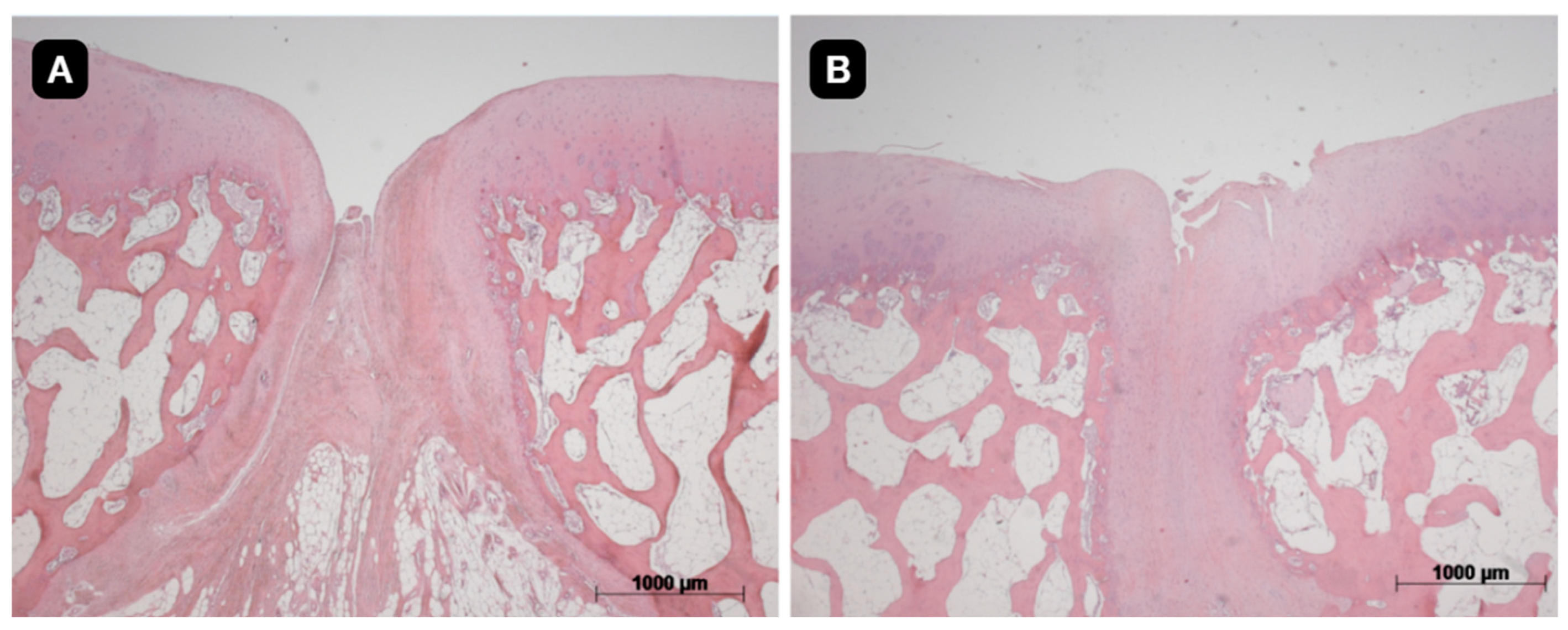 Preprints 119836 g007