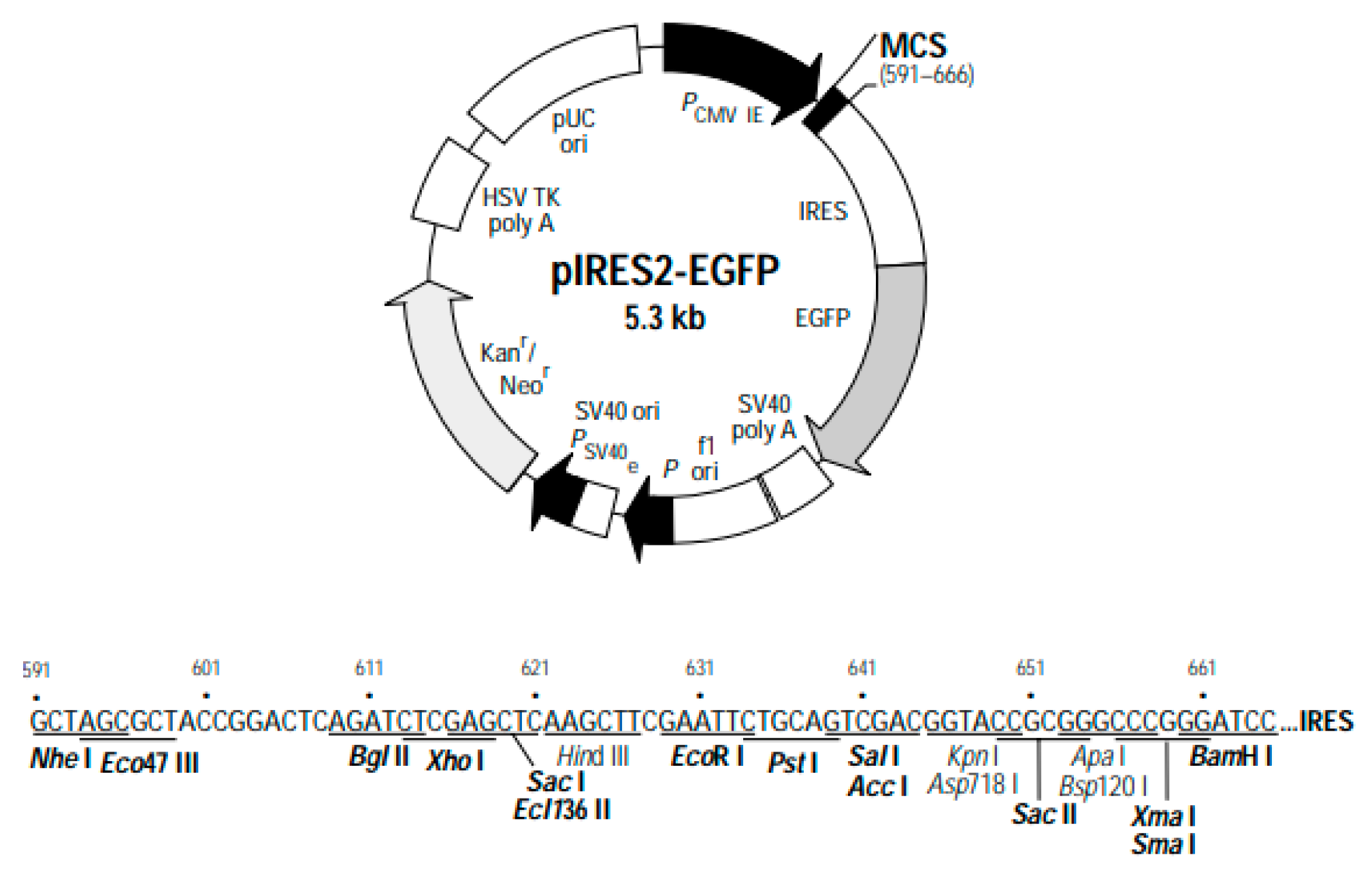 Preprints 138052 g005