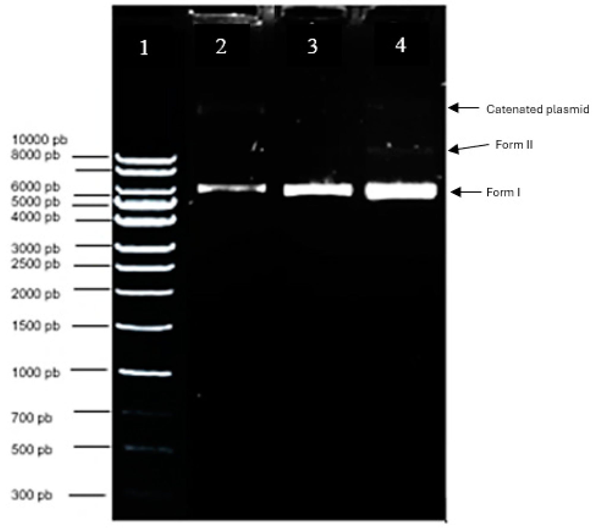 Preprints 138052 g006