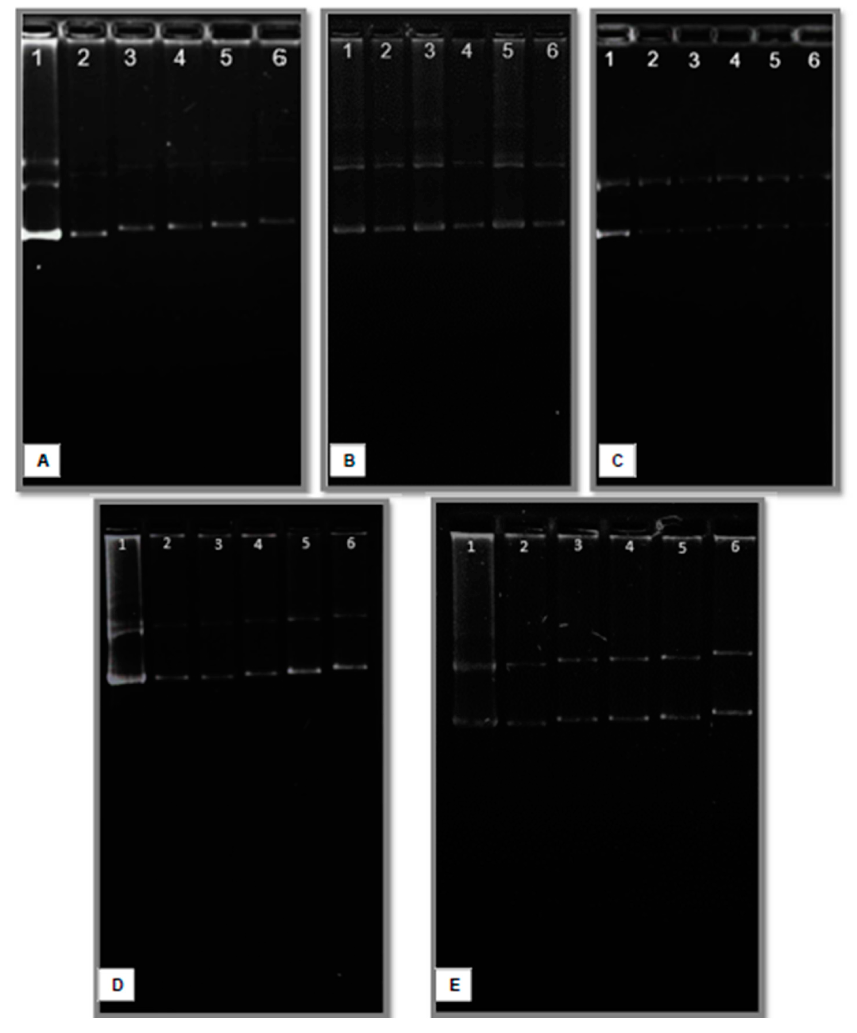 Preprints 138052 g007