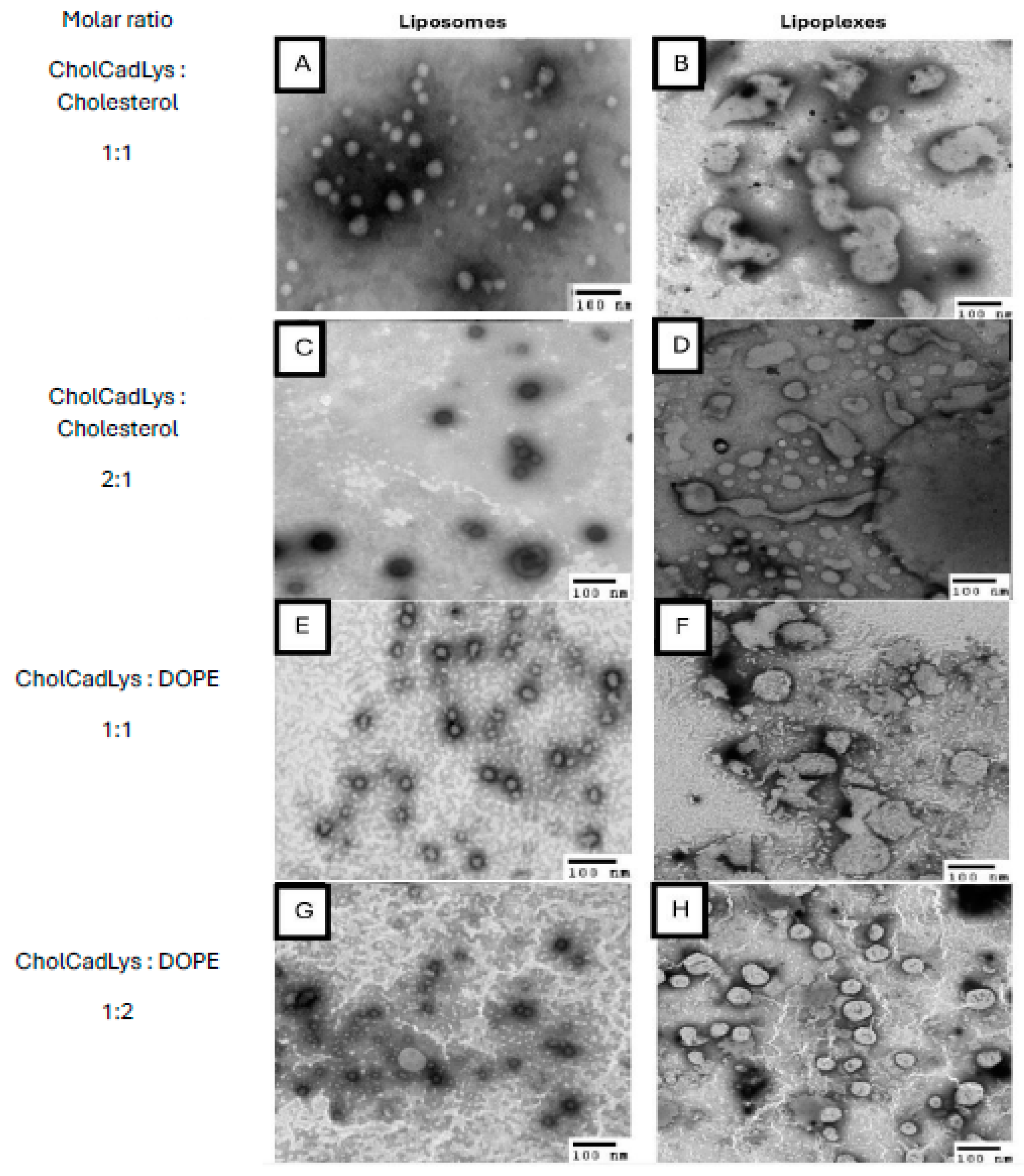 Preprints 138052 g008