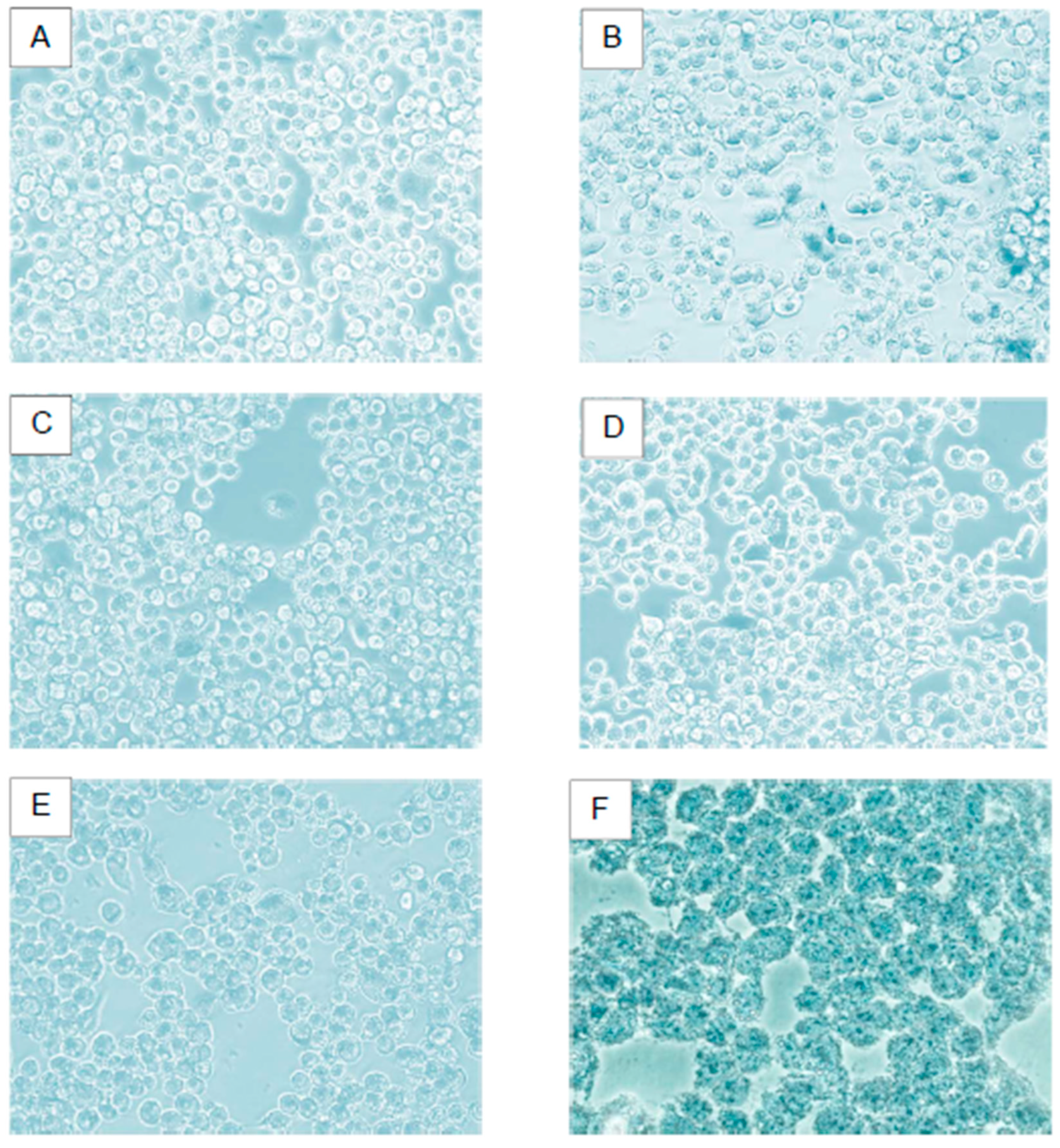 Preprints 138052 g010