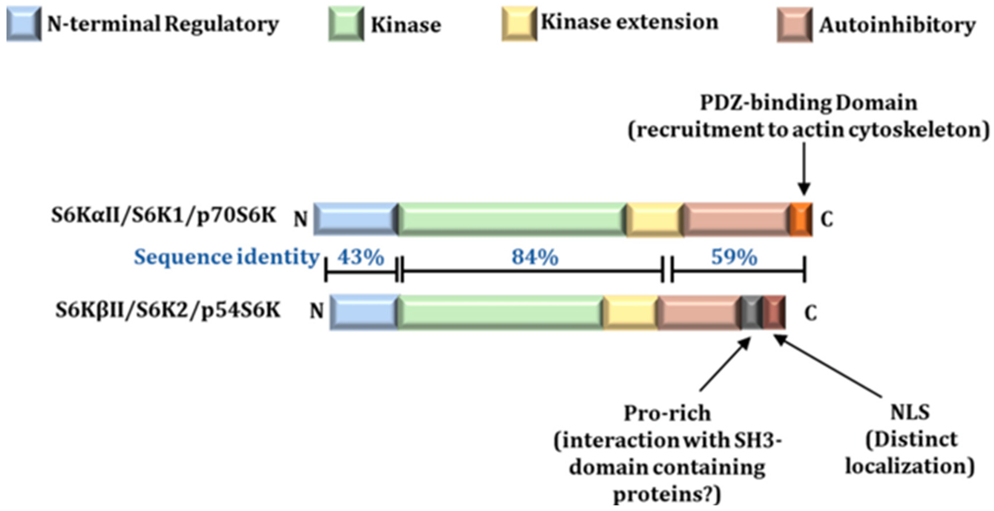 Preprints 115315 g001