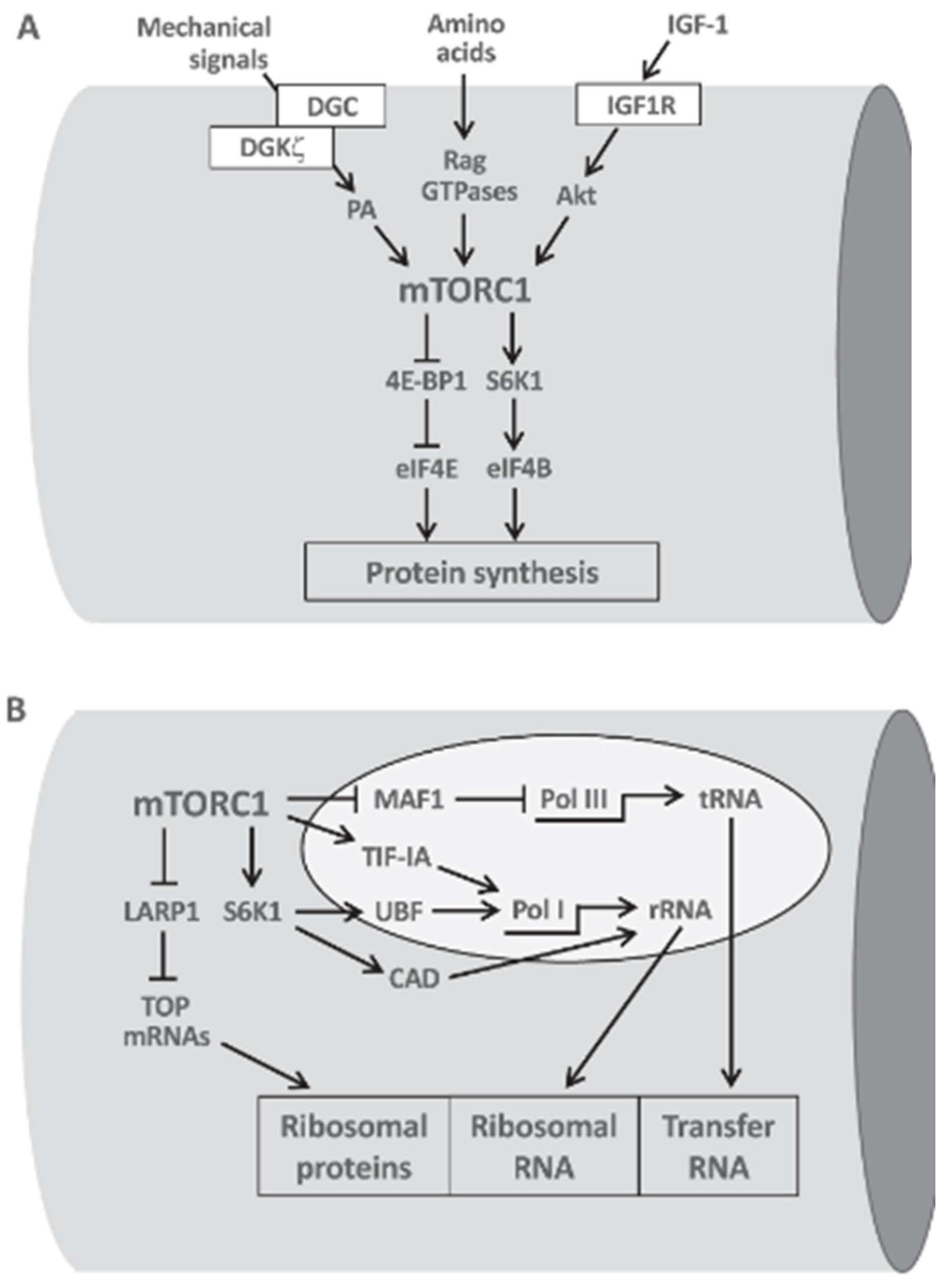 Preprints 115315 g003