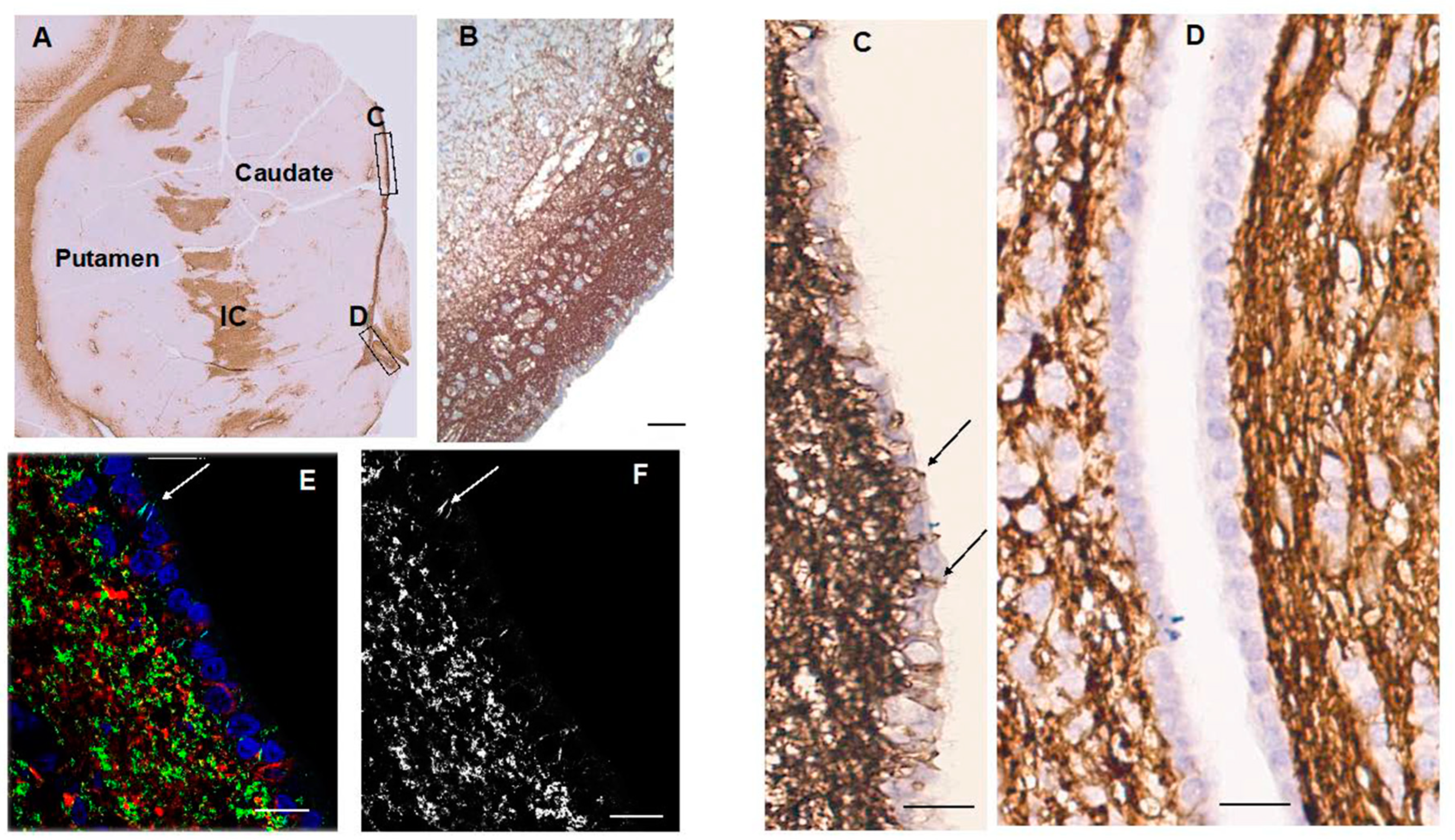 Preprints 69933 g002