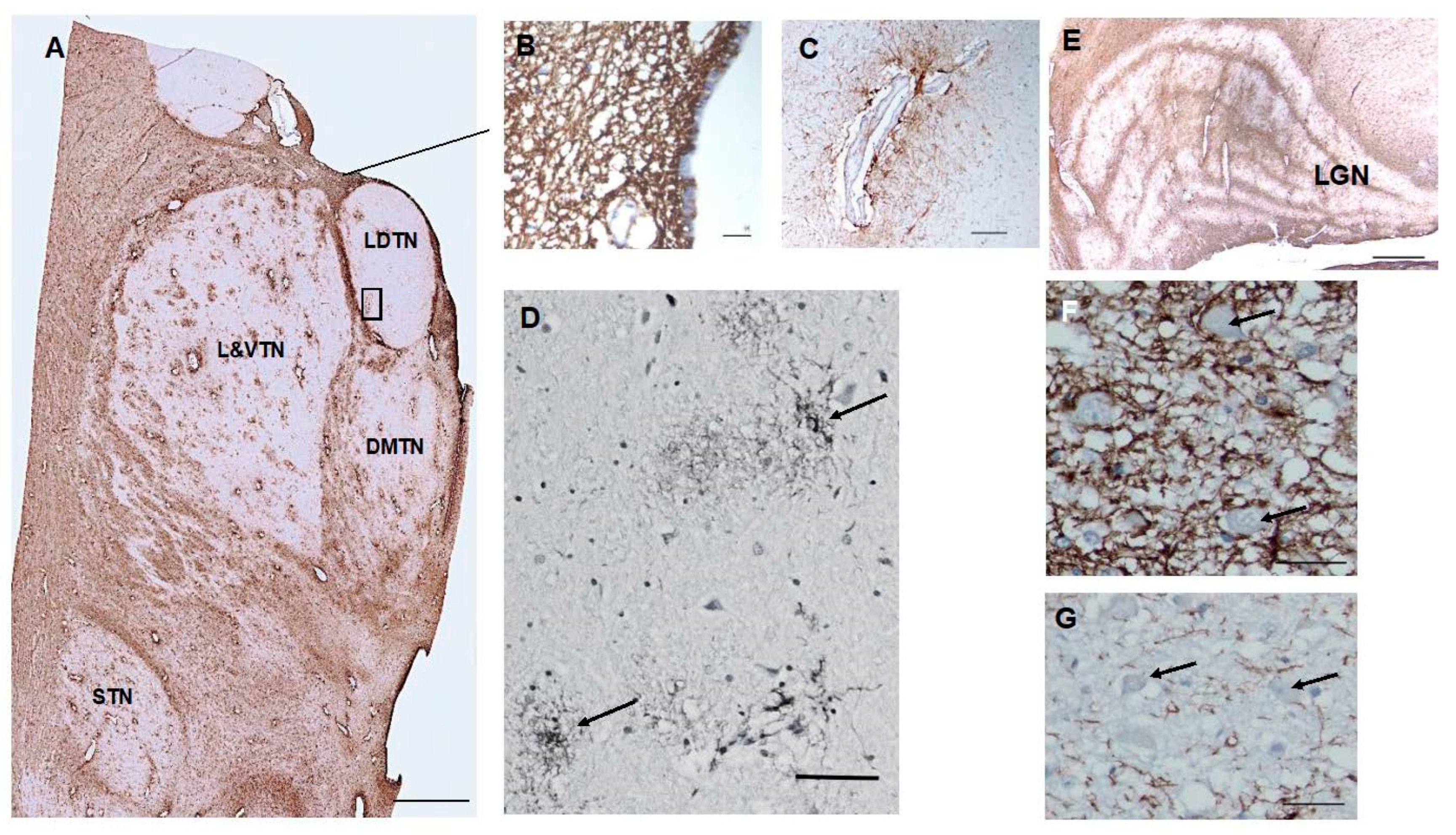 Preprints 69933 g003