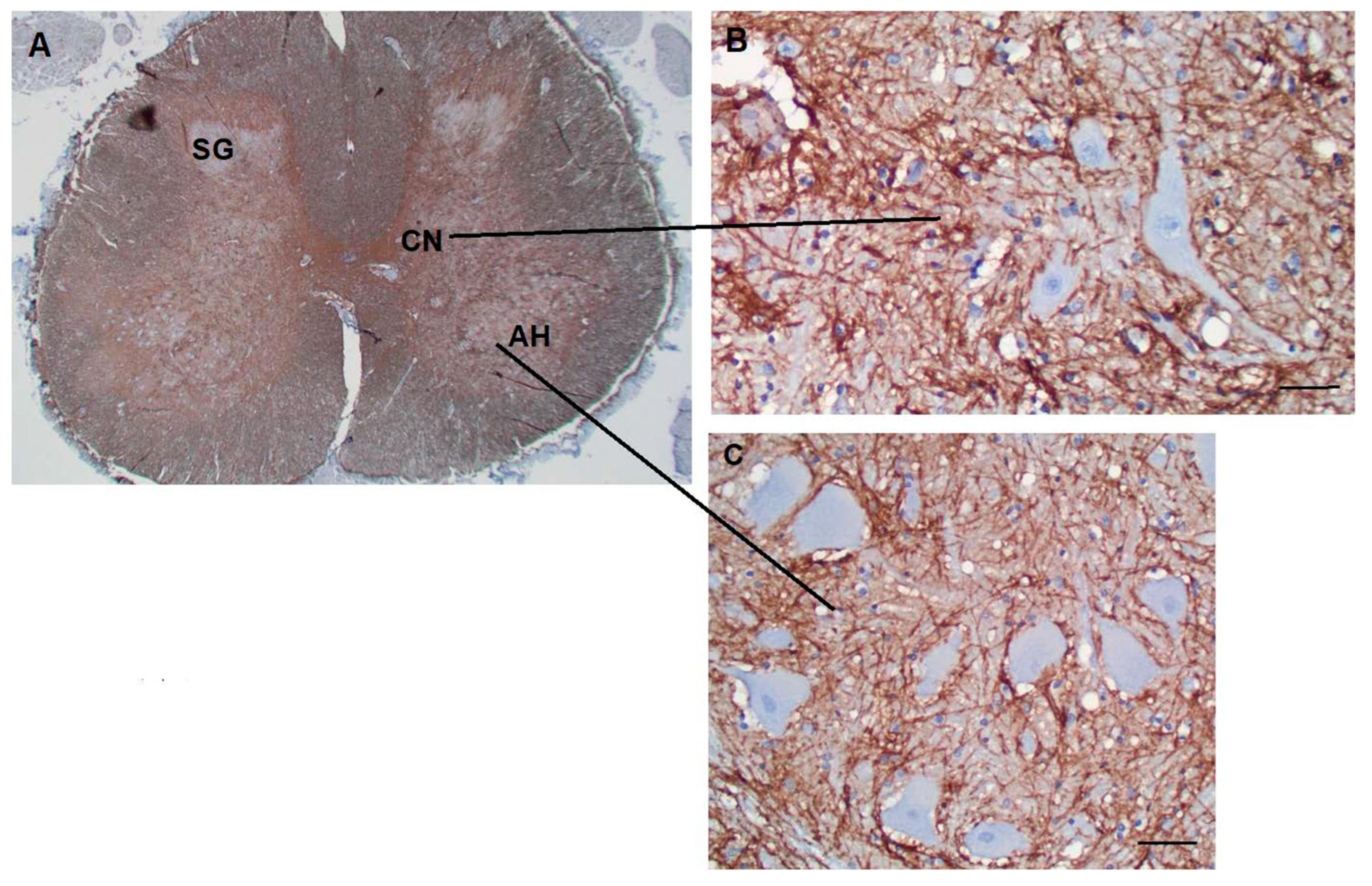 Preprints 69933 g008