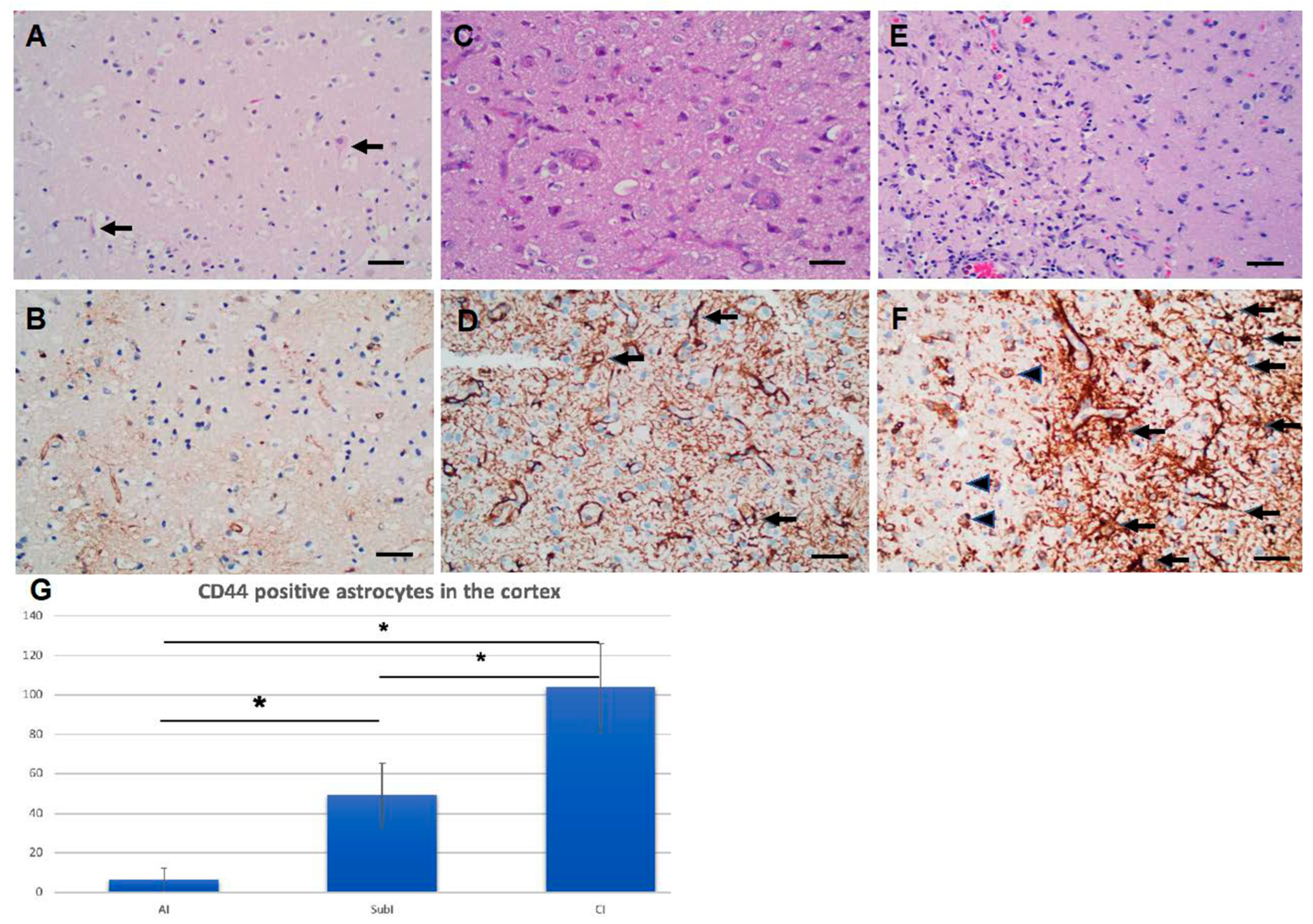 Preprints 69933 g009