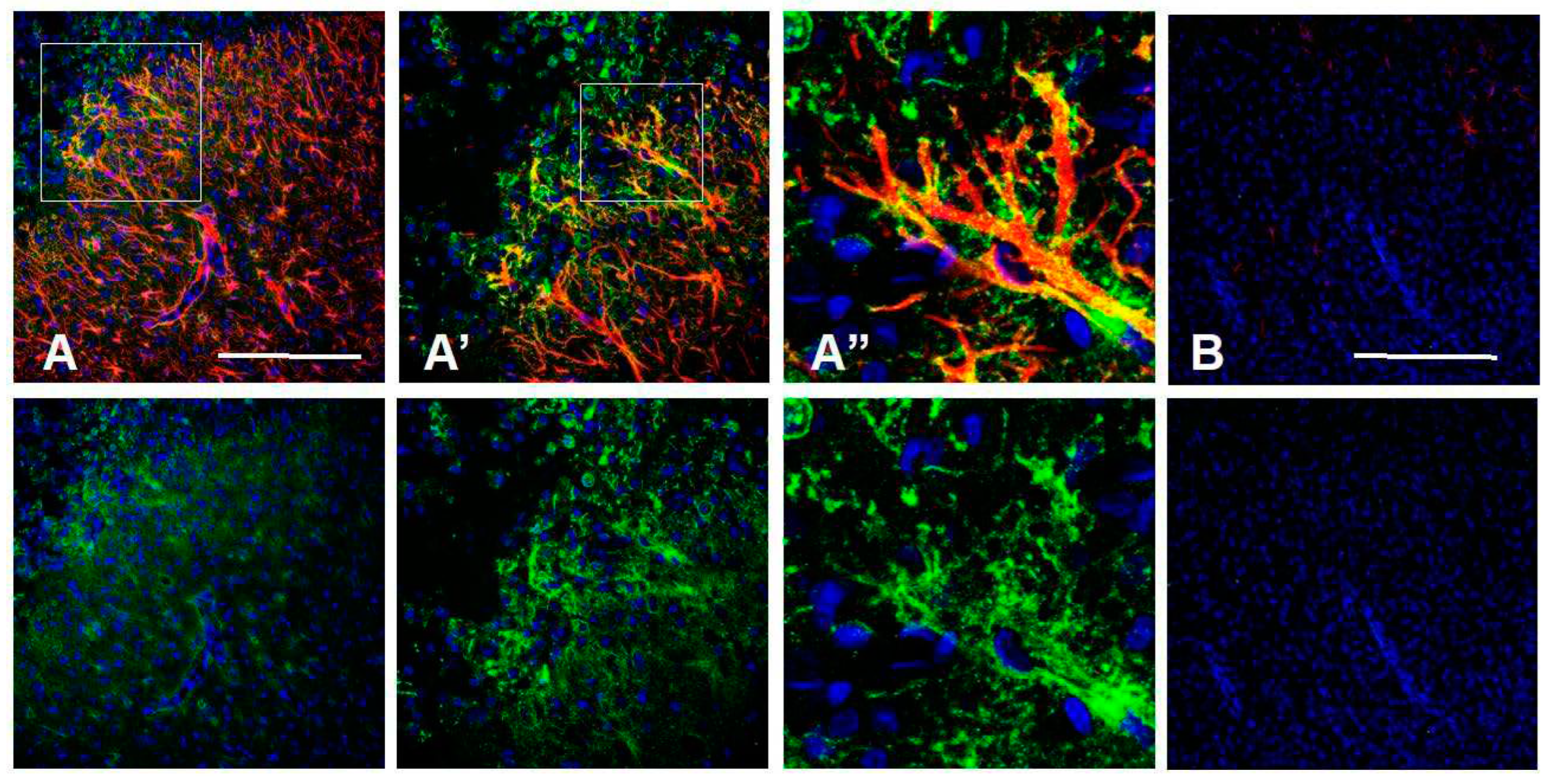 Preprints 69933 g010