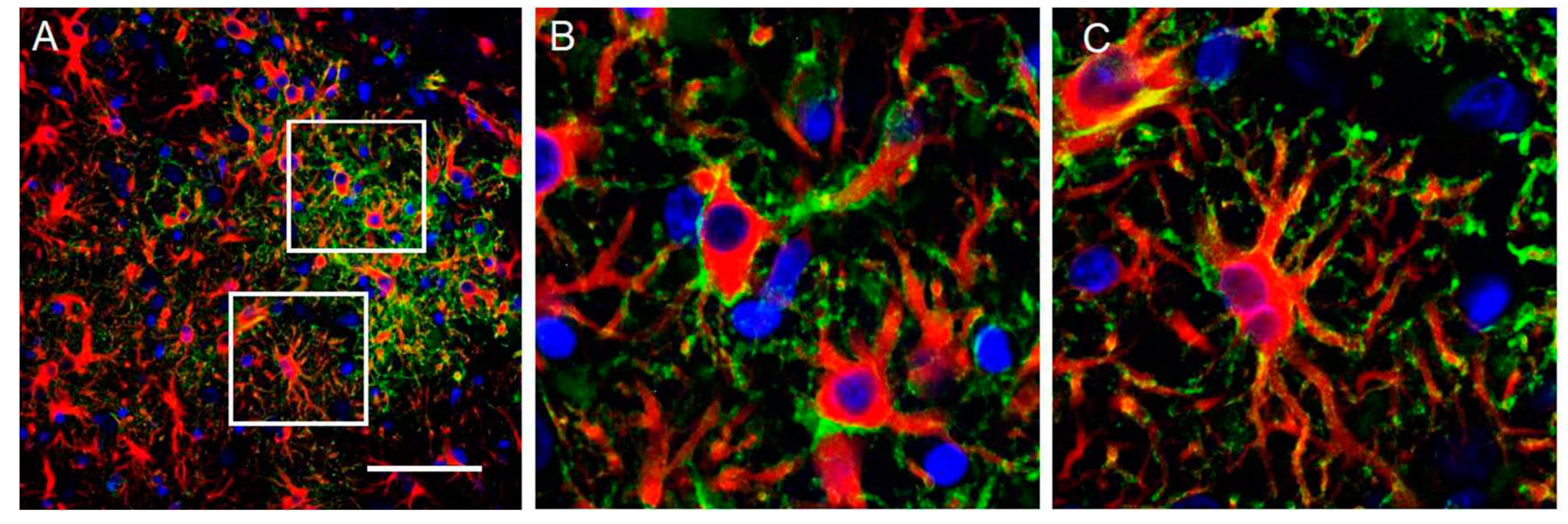 Preprints 69933 g014