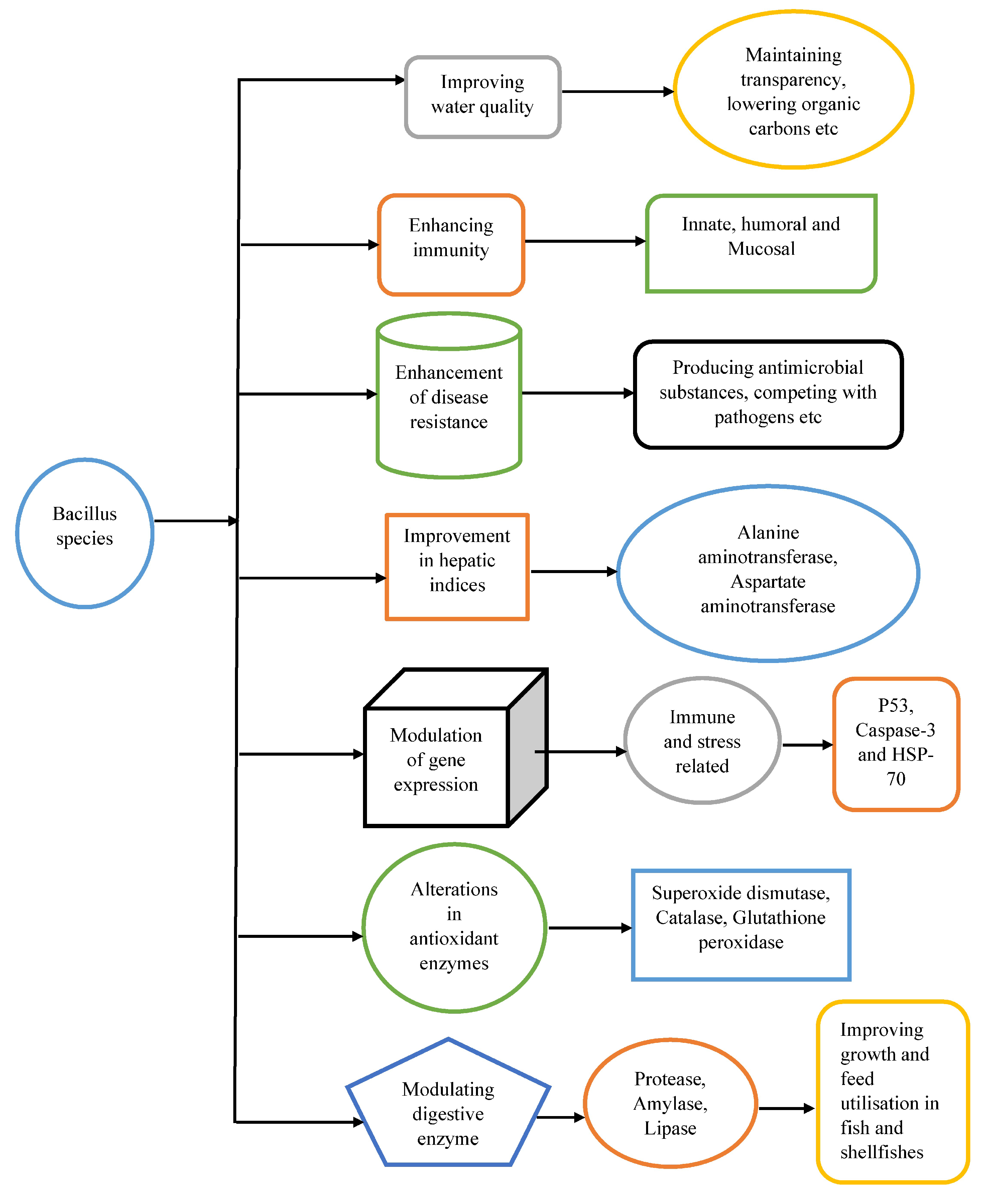 Preprints 109322 g001