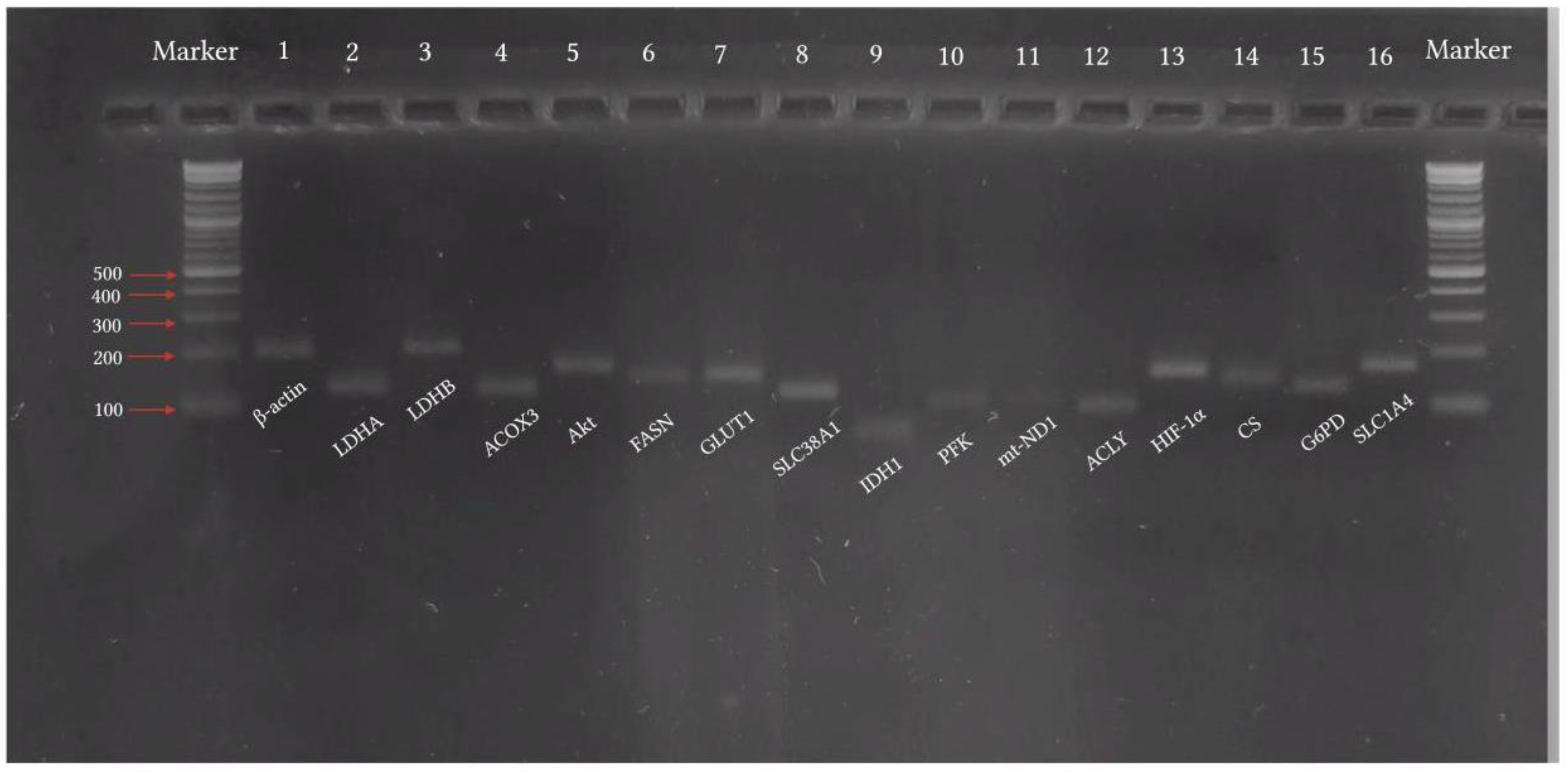 Preprints 118745 g001