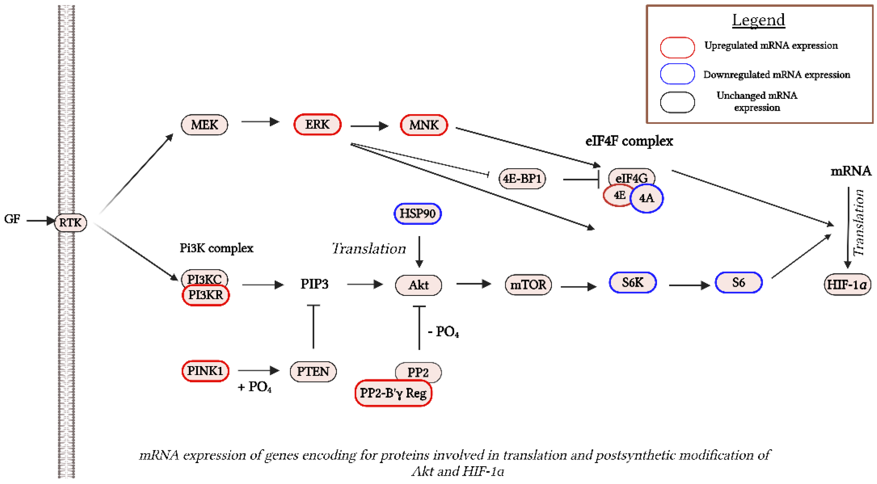 Preprints 118745 g004