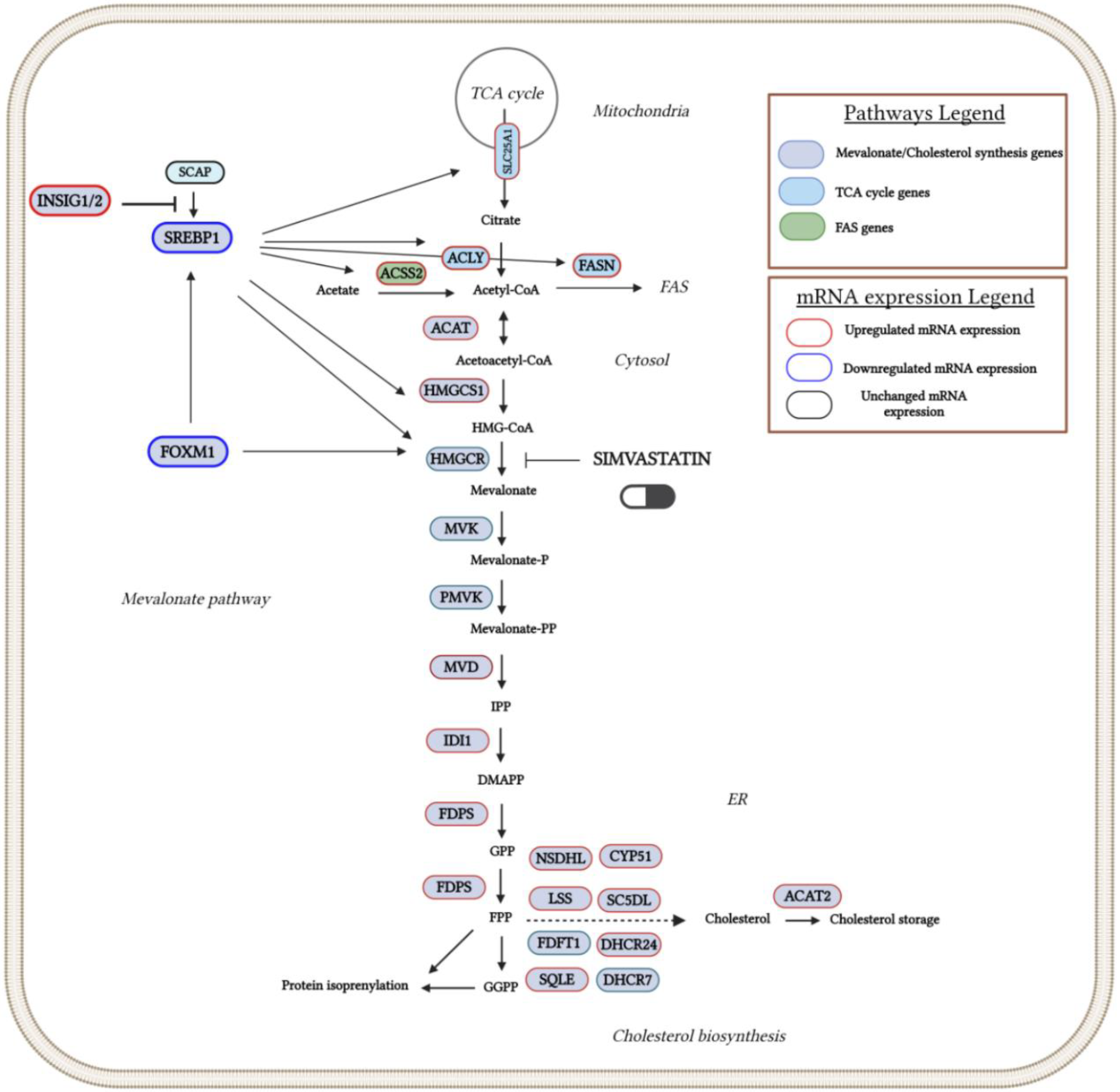 Preprints 118745 g005