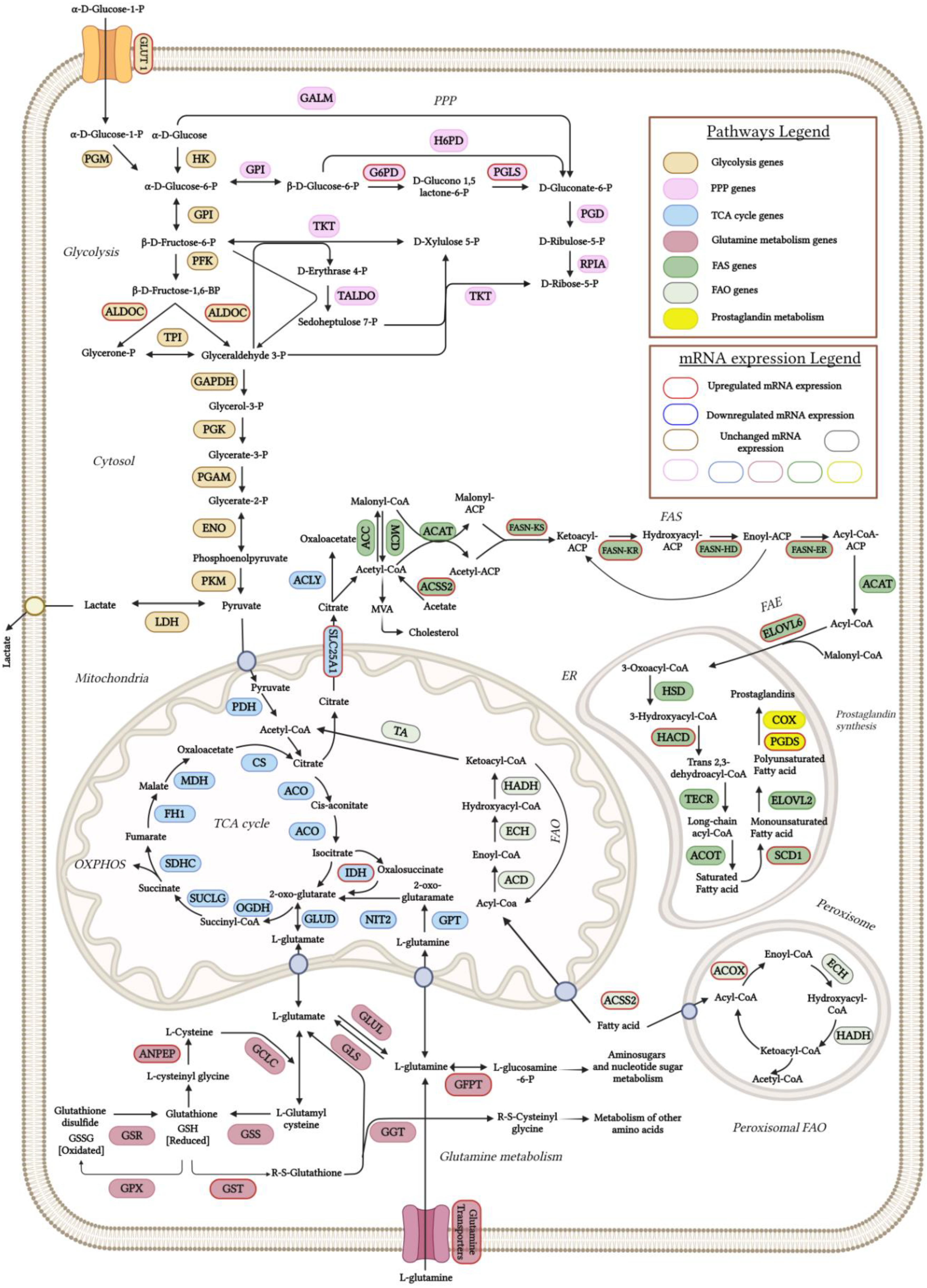 Preprints 118745 g006