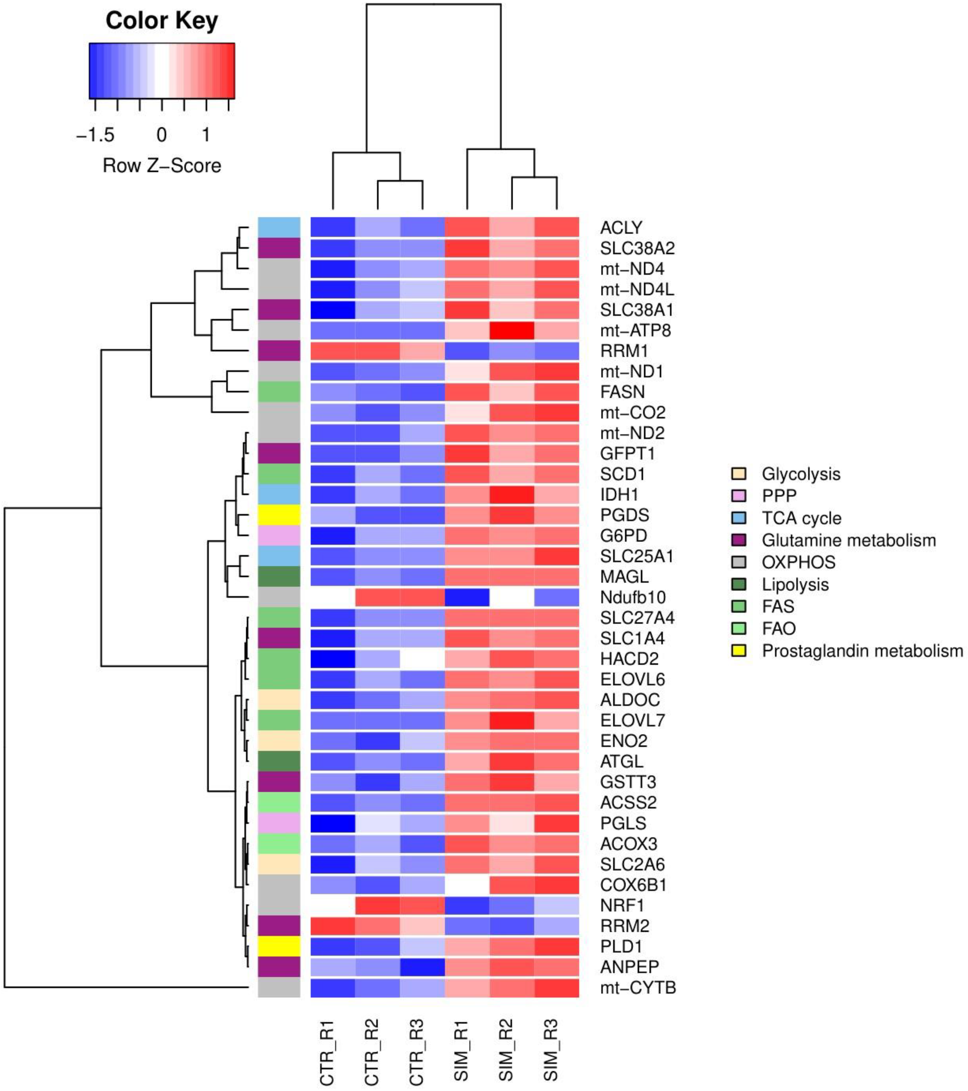 Preprints 118745 g007