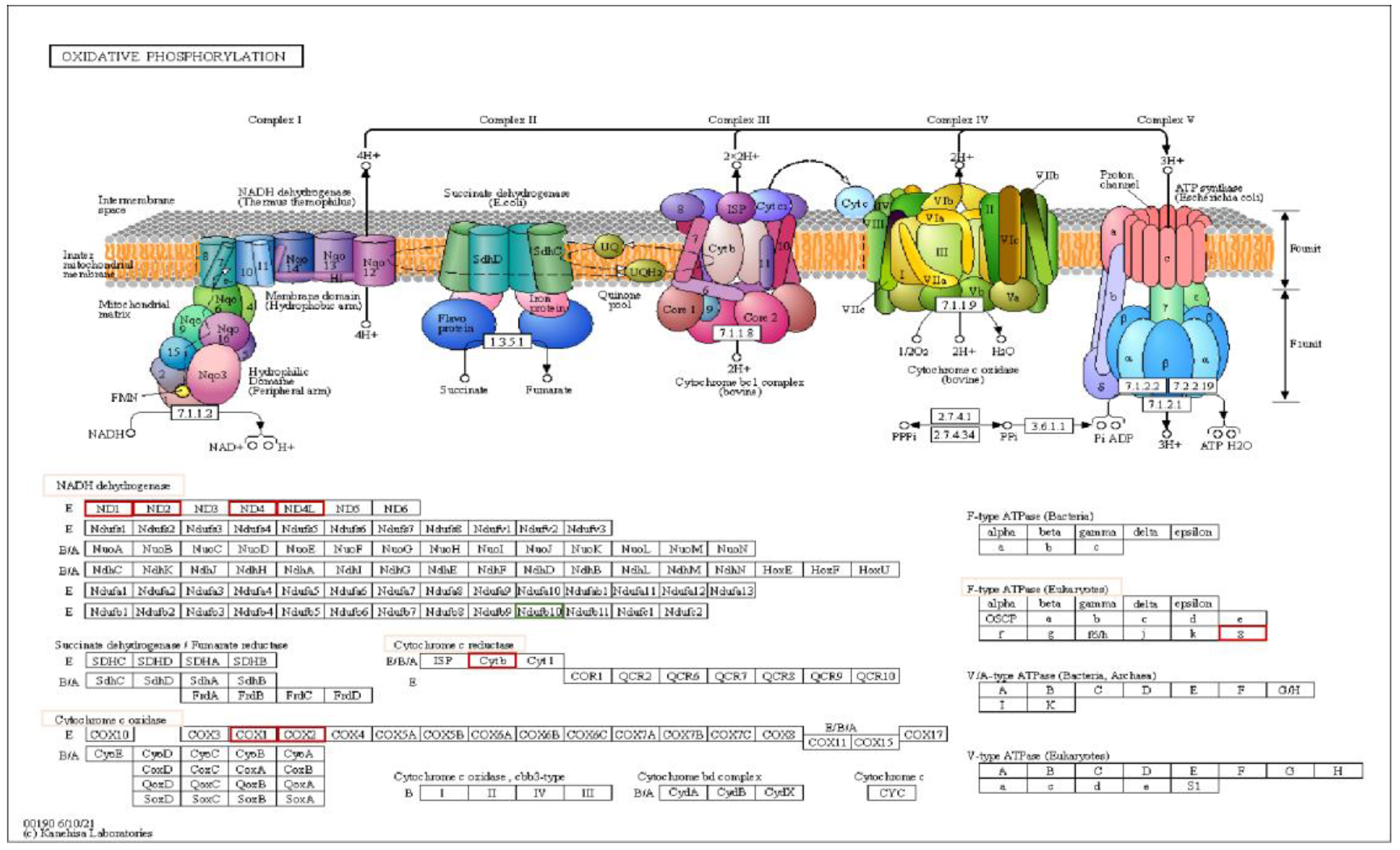 Preprints 118745 g008