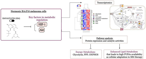 Preprints 118745 i001