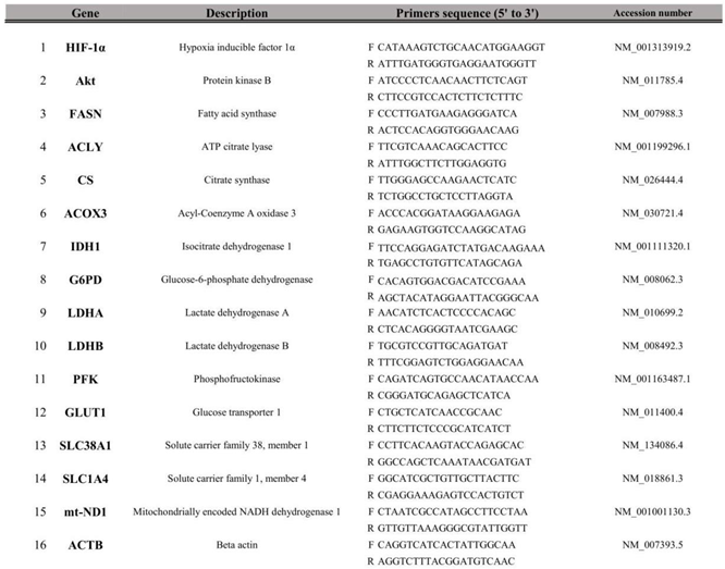 Preprints 118745 i002