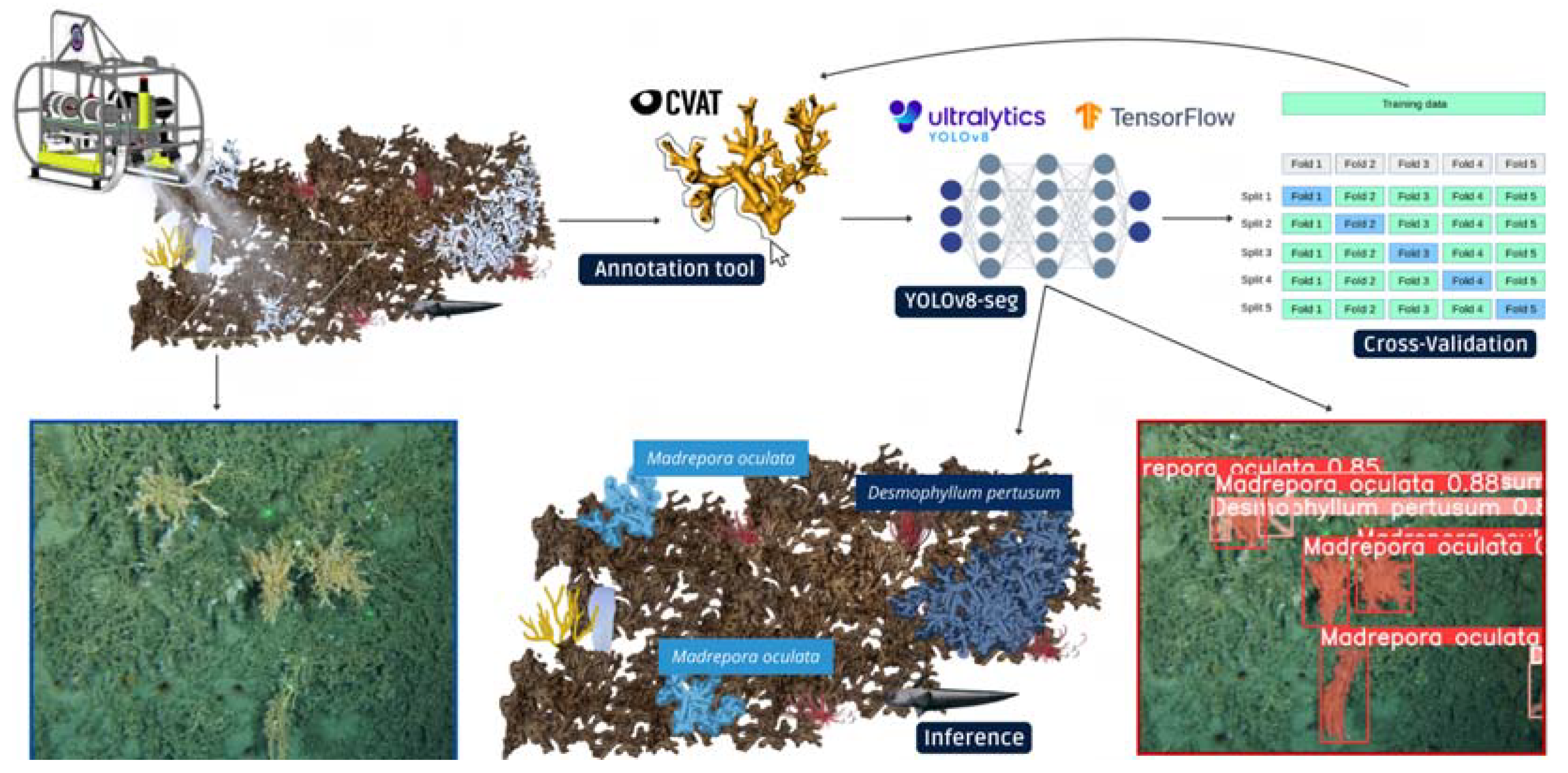 Preprints 114817 g003