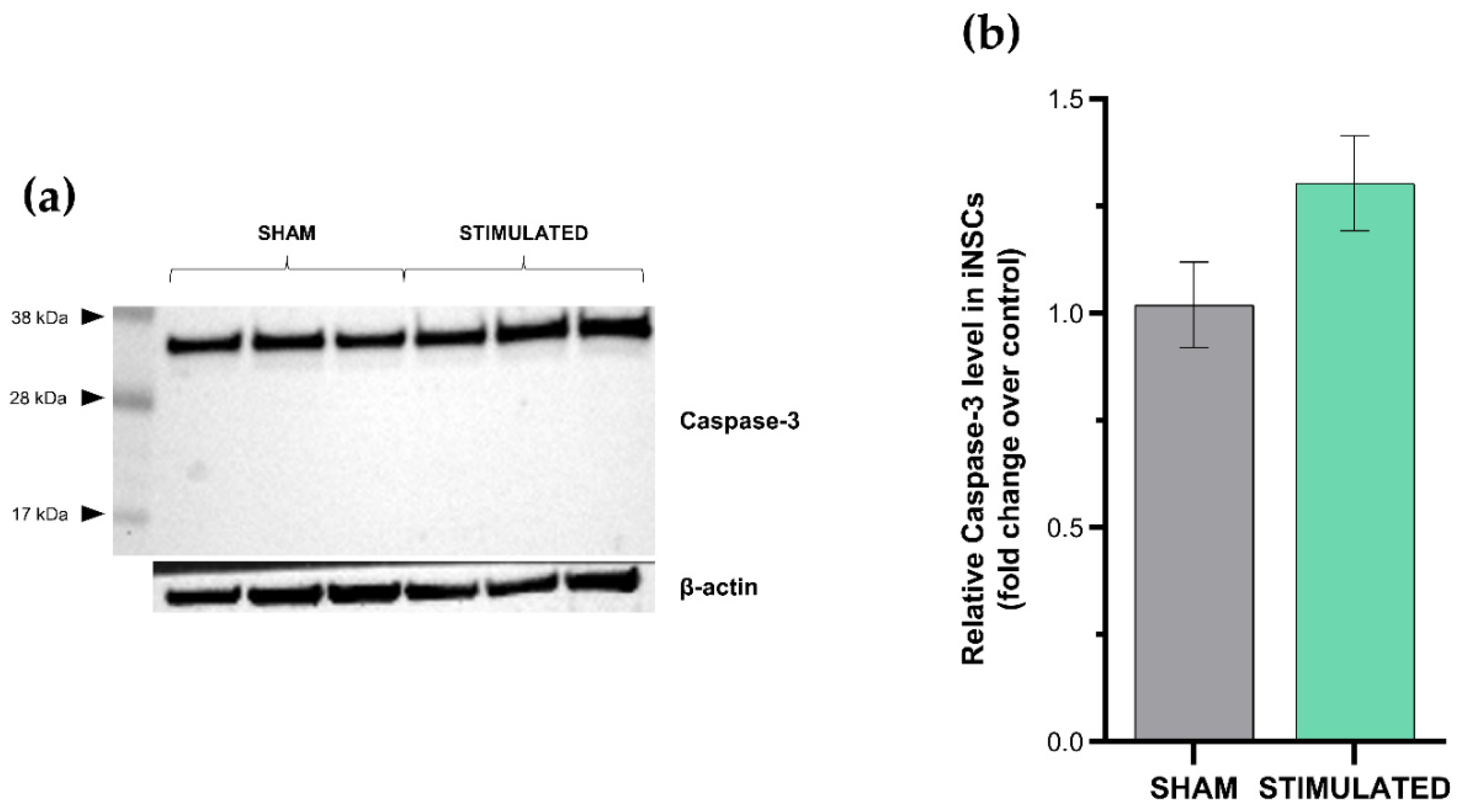 Preprints 84666 g004