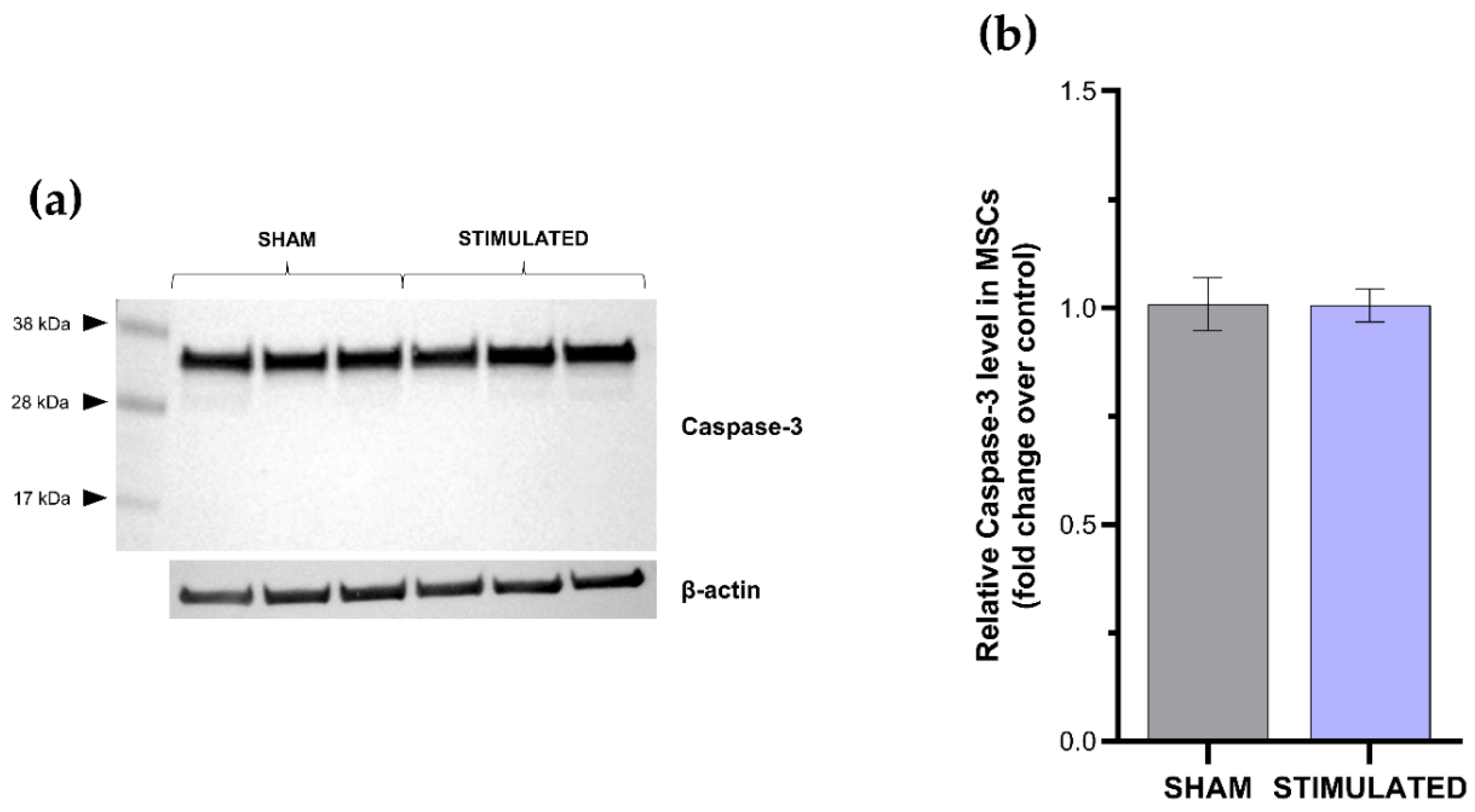 Preprints 84666 g005