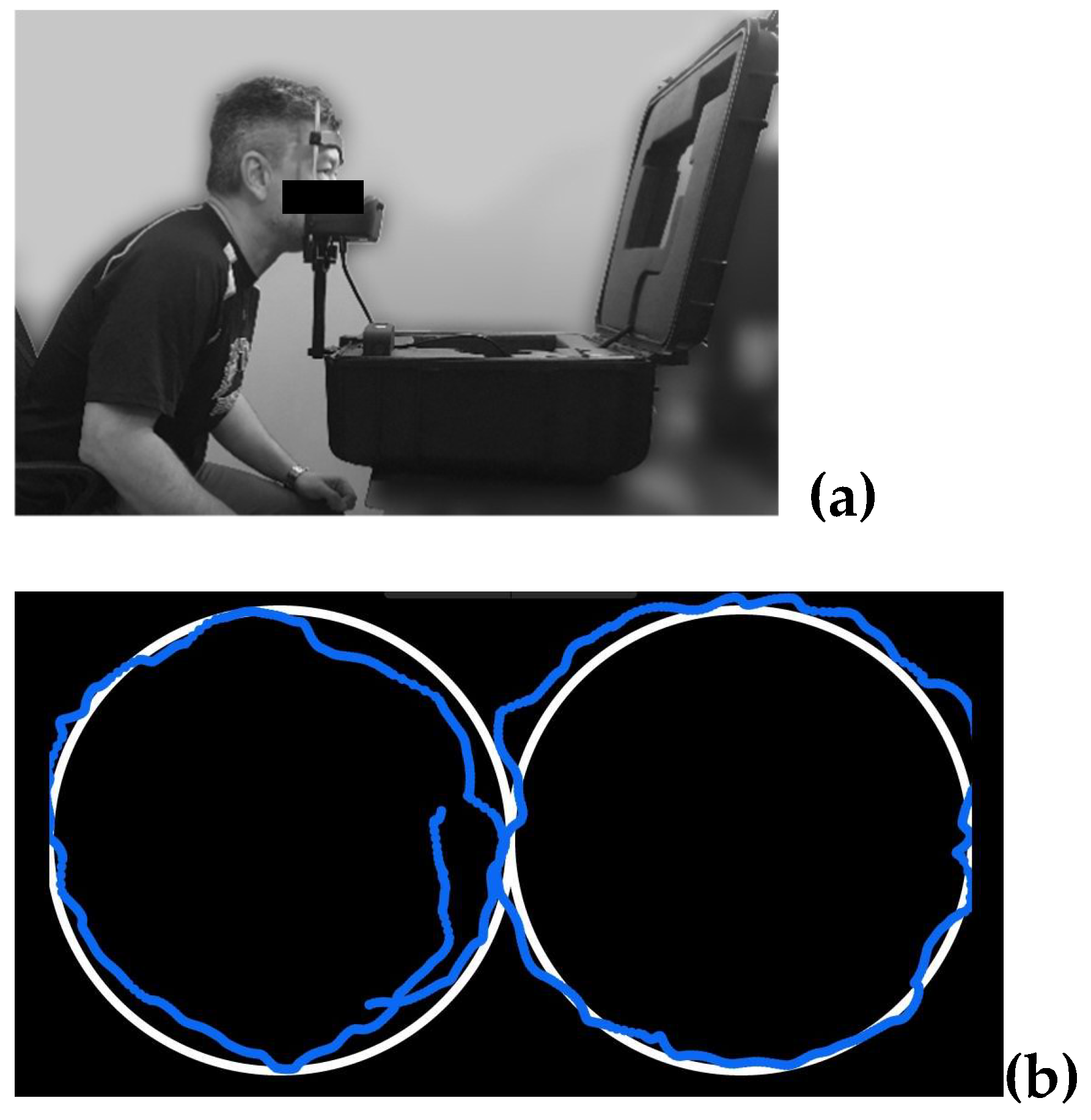 Preprints 74828 g001