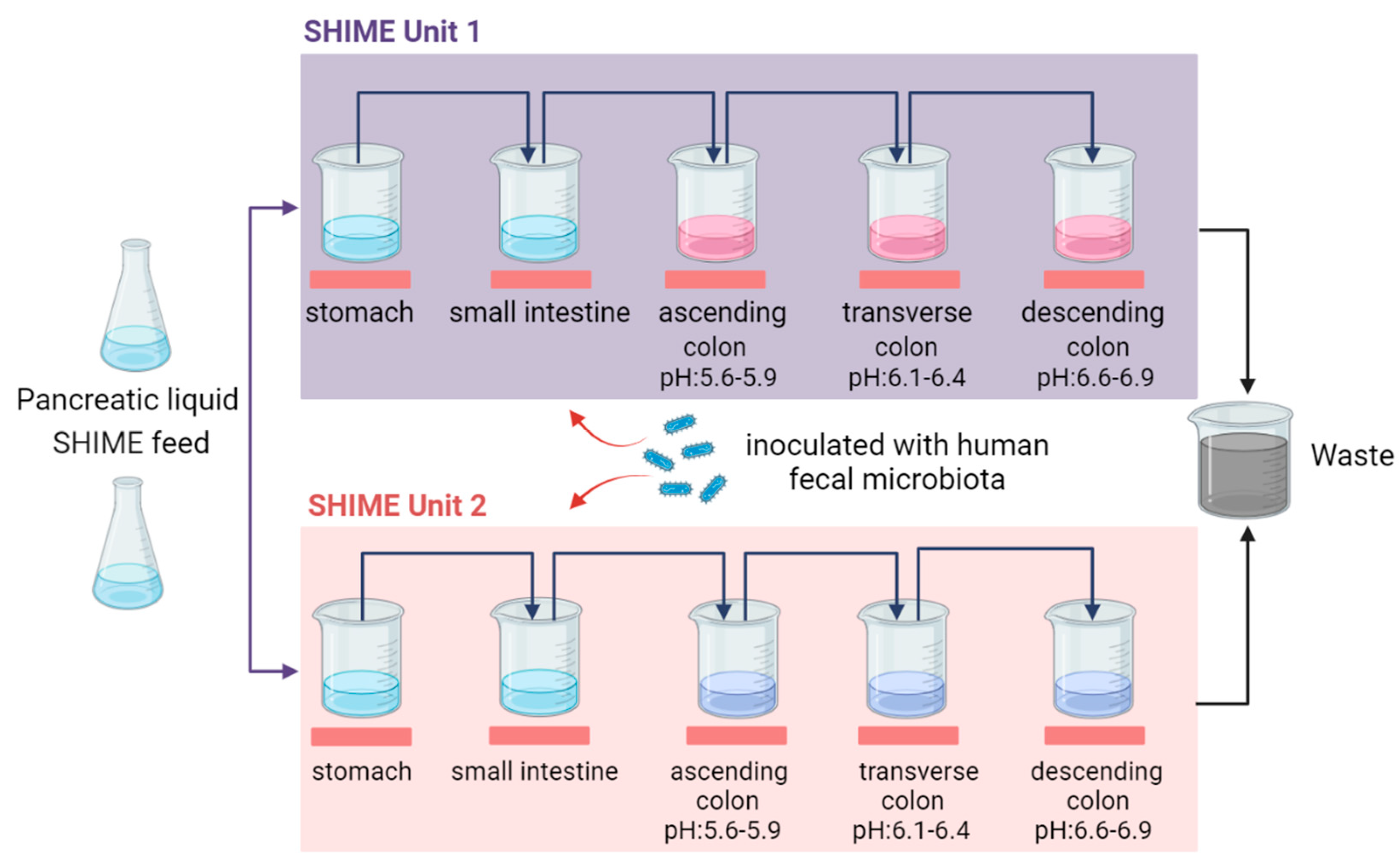 Preprints 138124 g002