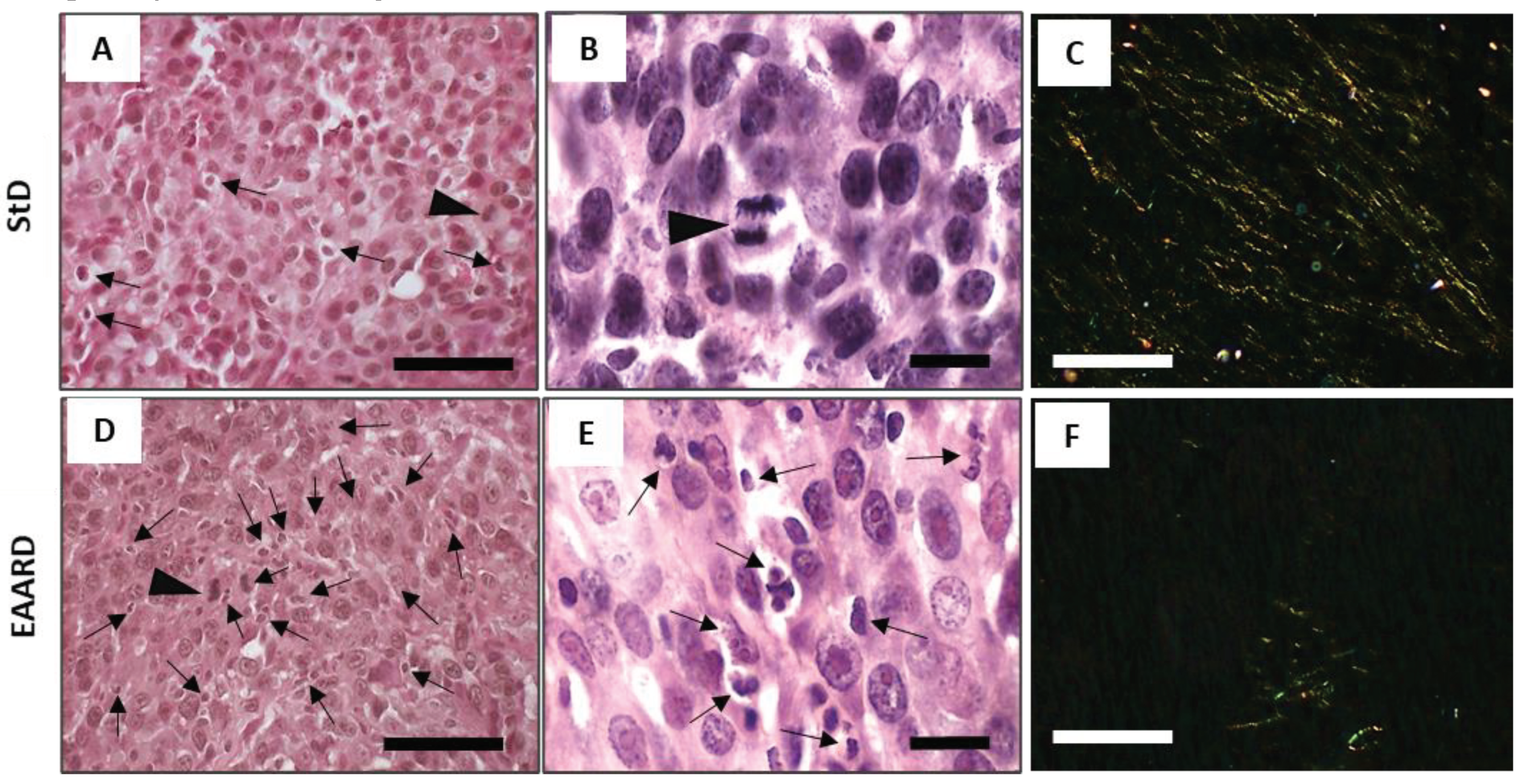 Preprints 102225 g005