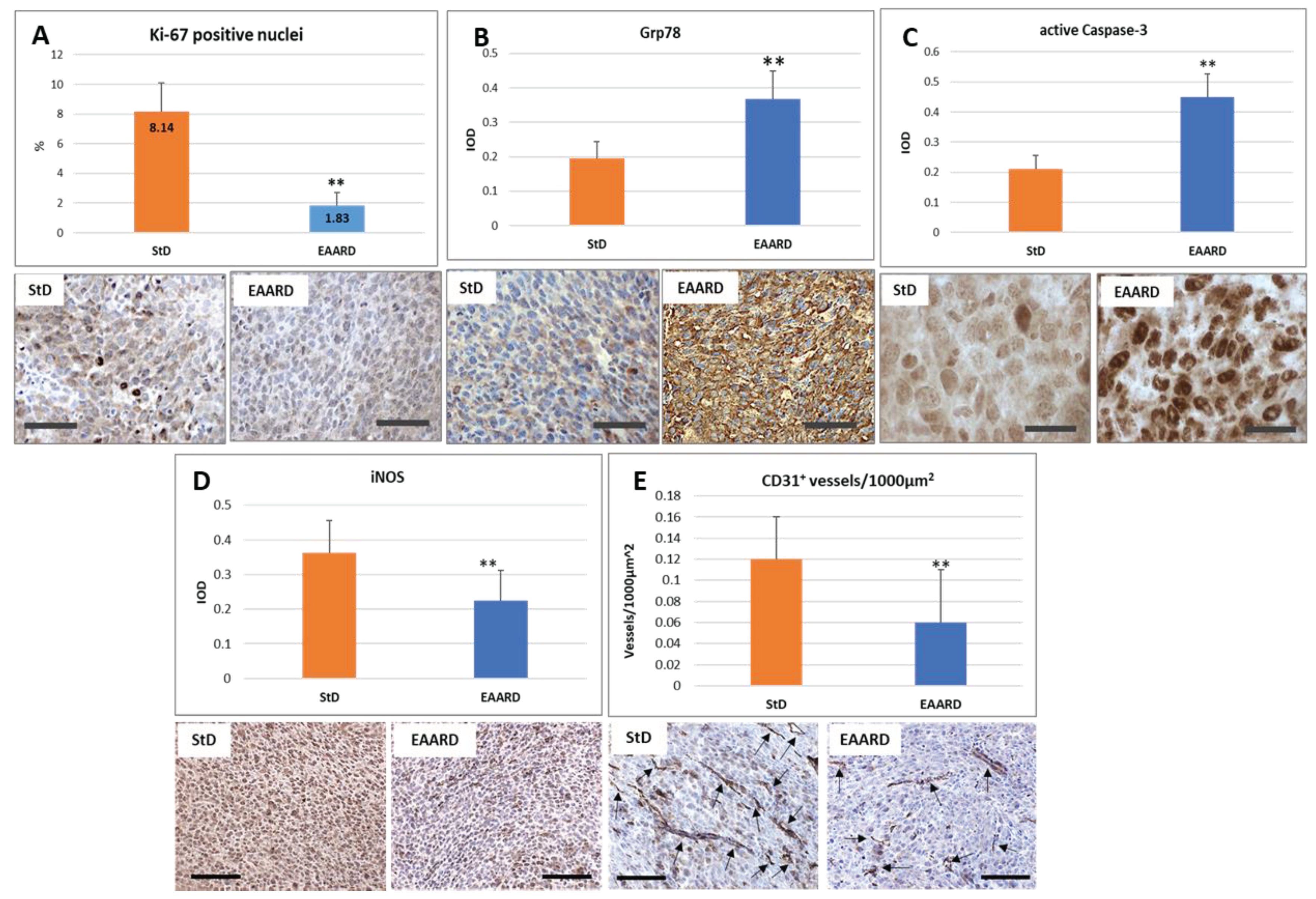 Preprints 102225 g006