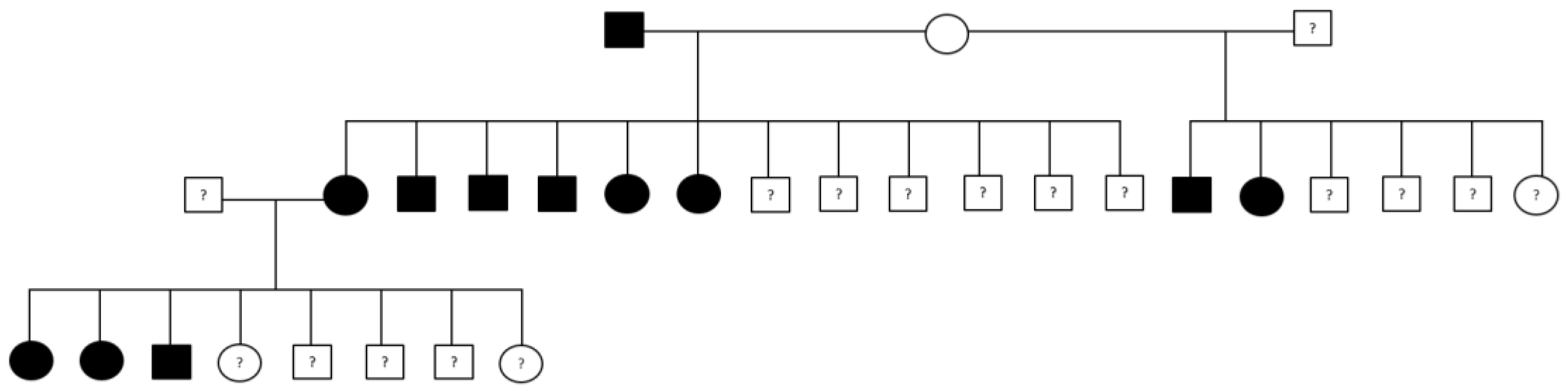 Preprints 122122 g002